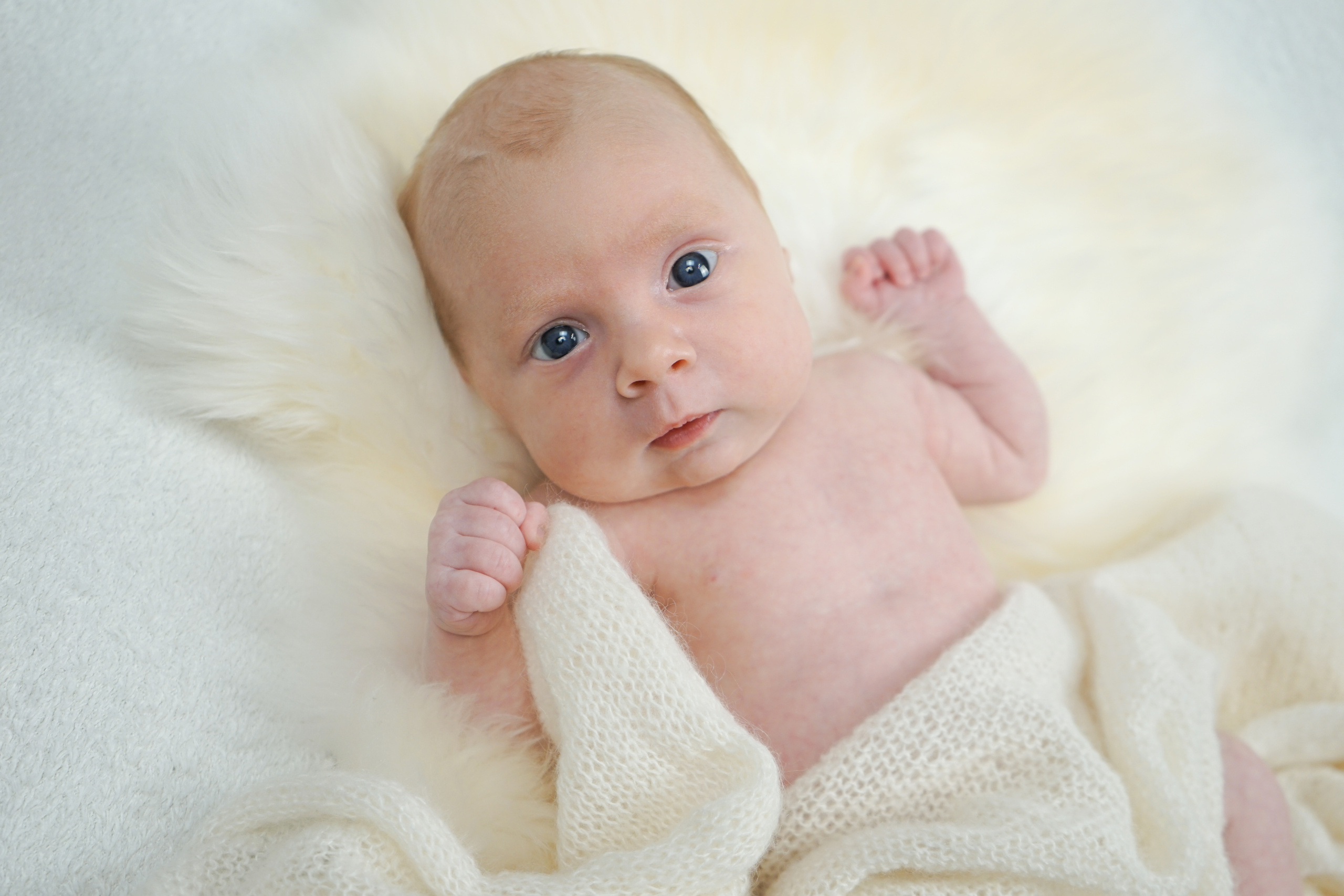 Newborn. Familien Fotograf Kristina Hörner Kri.H.tiv aus 74599 Wallhausen