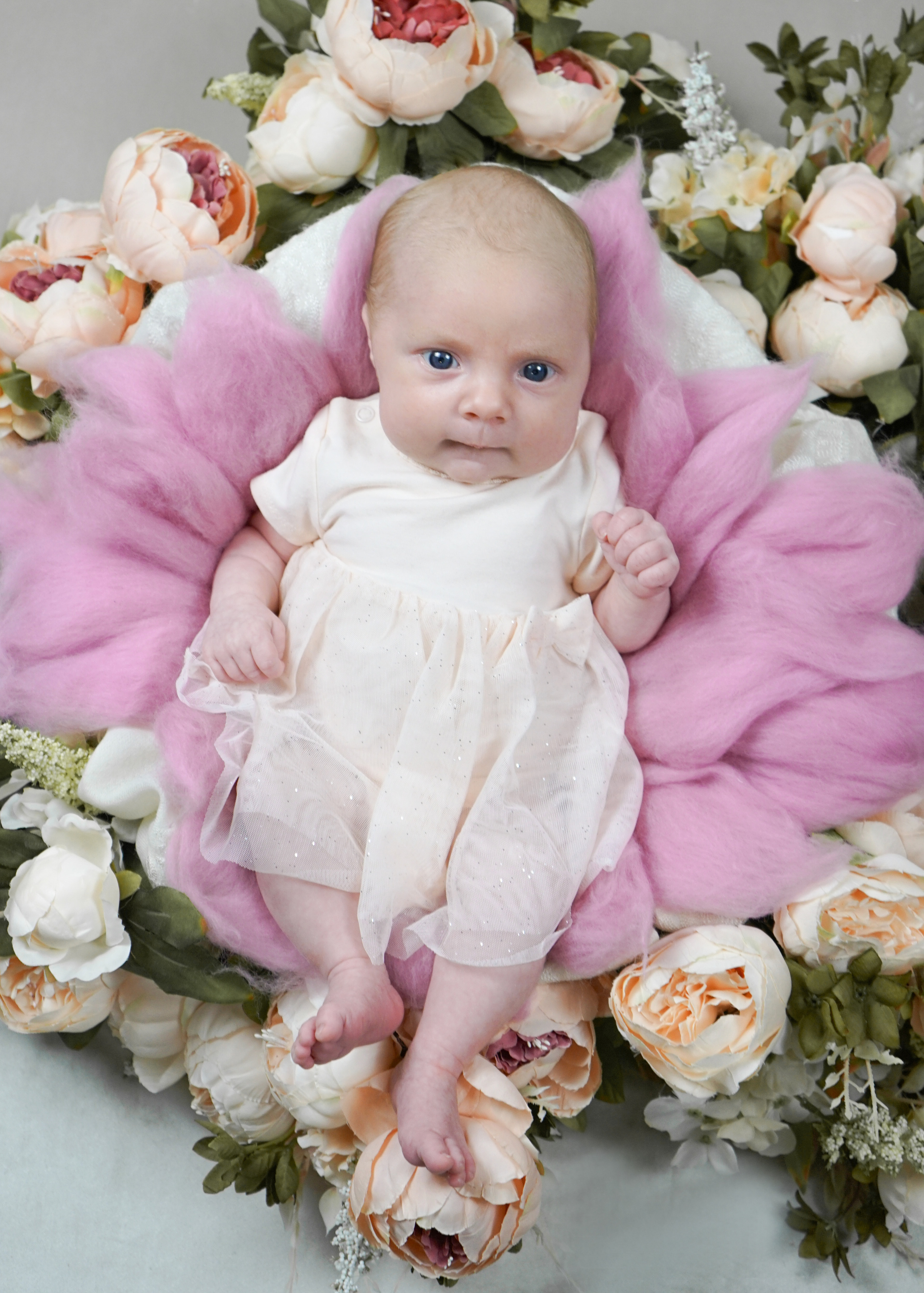 Newborn. Familien Fotograf Kristina Hörner Kri.H.tiv aus 74599 Wallhausen