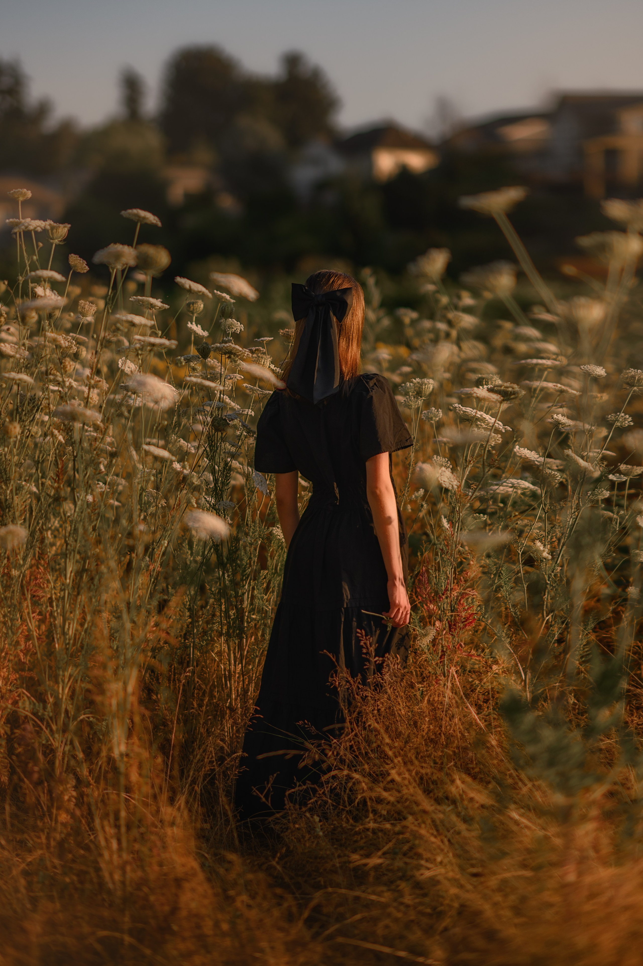 Meadow Light. Wedding & portrait photography in the Seattle Area. Helen Michelle photographer