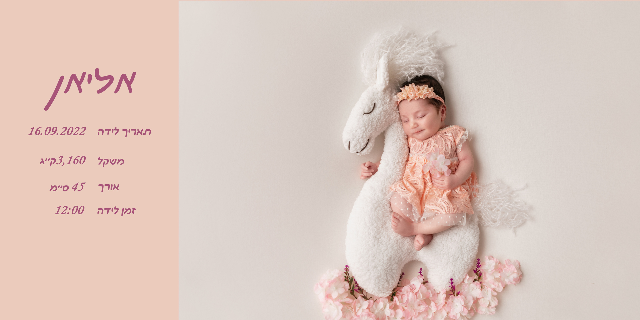 Albom for little Princess. Наталья Розман детский и семейные фотограф в Израиле, Ашкелон