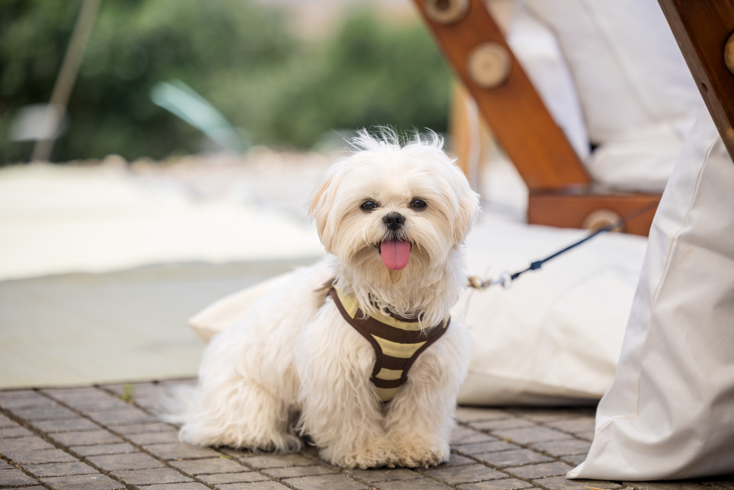 Omar & Nimrod. AMIR BUCHNIK PHOTOGRAPHER