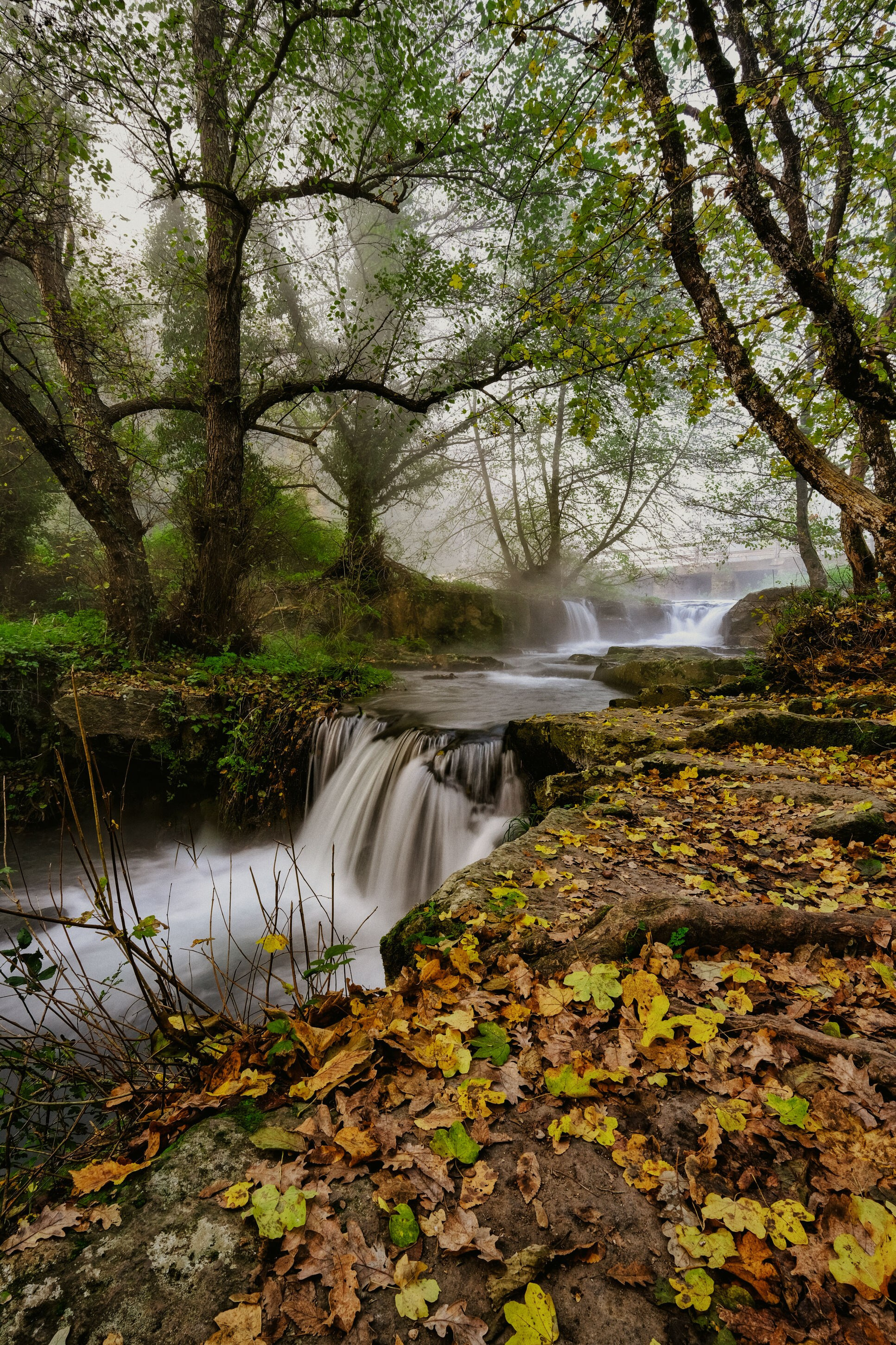 Cascate Monte Gelato