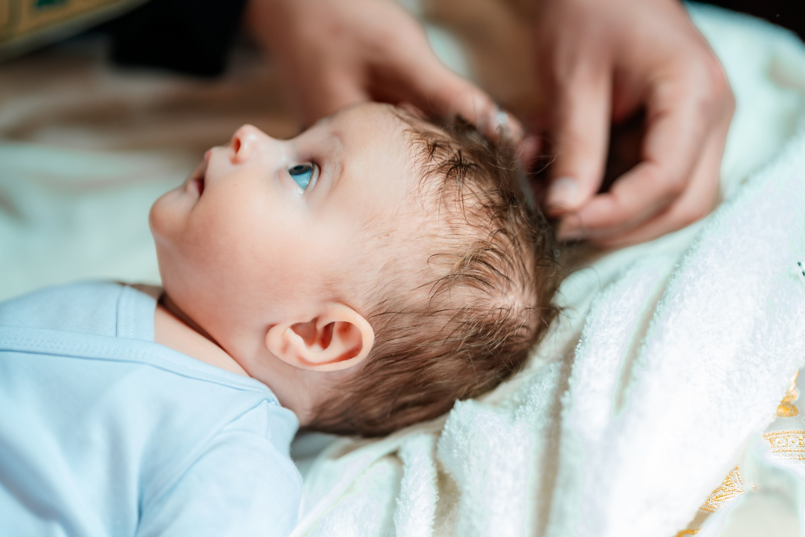 fotograf botez Miruna Parascheva, fotografie botez Botoșani, fotograf Alin Chirilă, amintiri botez, fotografii botez, botez Miruna Parascheva, fotograf copii, fotografie botez în Botoșani-alt="botez Miruna Parascheva, fotografie botez Alin Chirilă, amintiri botez, fotografii emoționante botez Botoșani"-- fotografii-botez-bebelus- amintiri-botez-micuț- moment-sfânt-crestinare- fotografie-emotionanta-botez- detalii-botez-bebelusi- parinti-fericiti-la-botez- fotograf-botez-profesionist- botez-in-biserica-ortodoxa- micuț-botezat-cu-emoție- zâmbete-și-lacrimi-la-botez- bebeluș-la-cristelniță- decor-botez-colorat- botez-cu-dragoste-și-credință- emotie-pura-la-botez- fotograf-botez-botosani- botez-iasi-suceava-fotograf- amintiri-nepretuite-botez