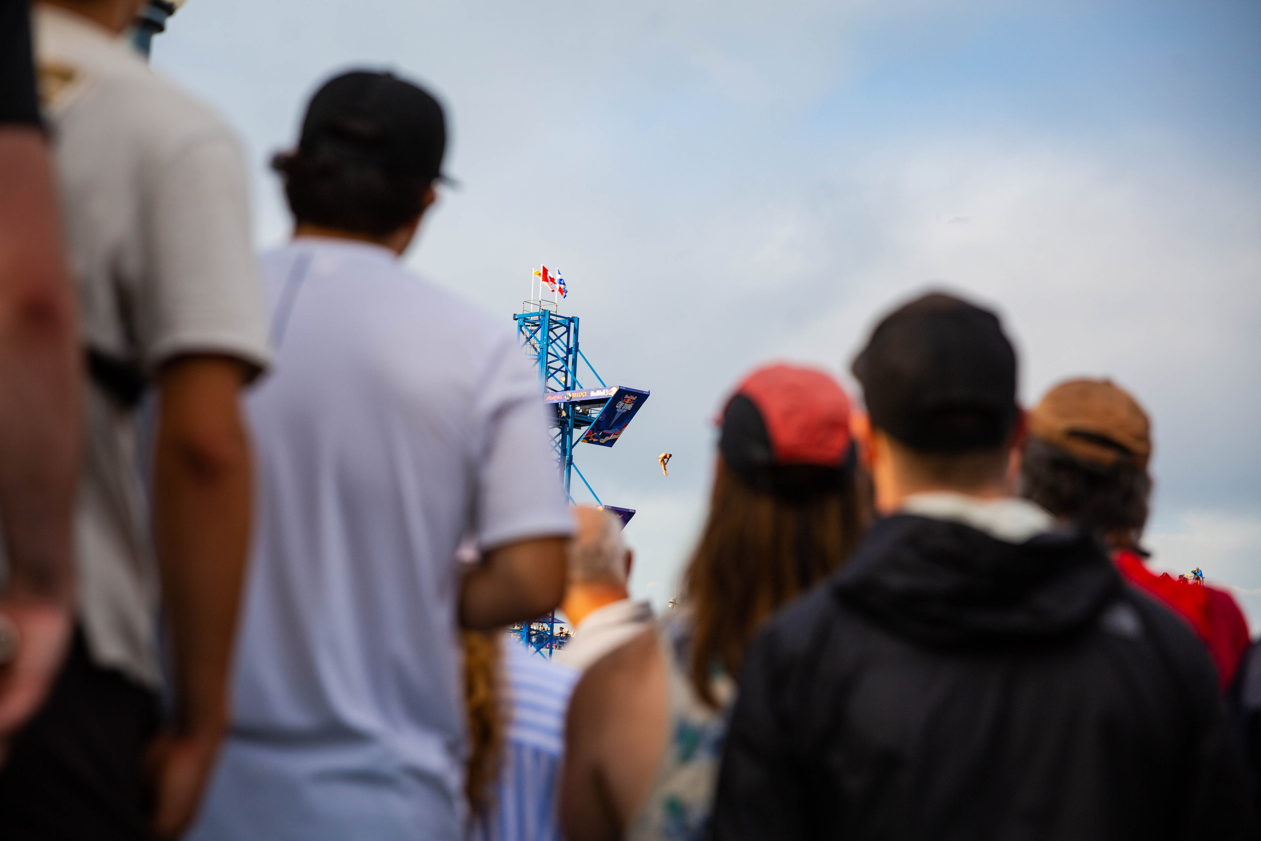 REDBULL DIVE MONTREAL