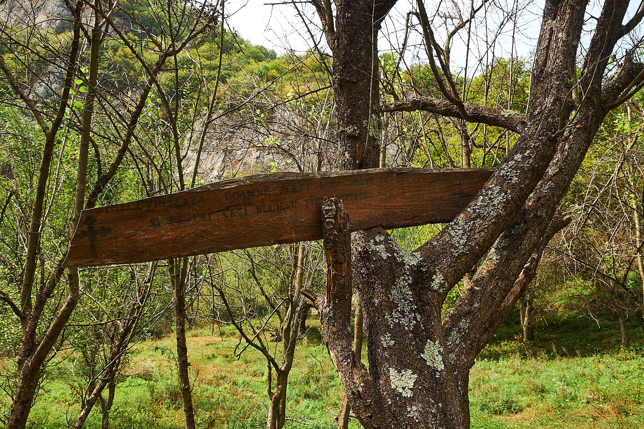 Ineleț, jud. Caraș-Severin. Pagina principală