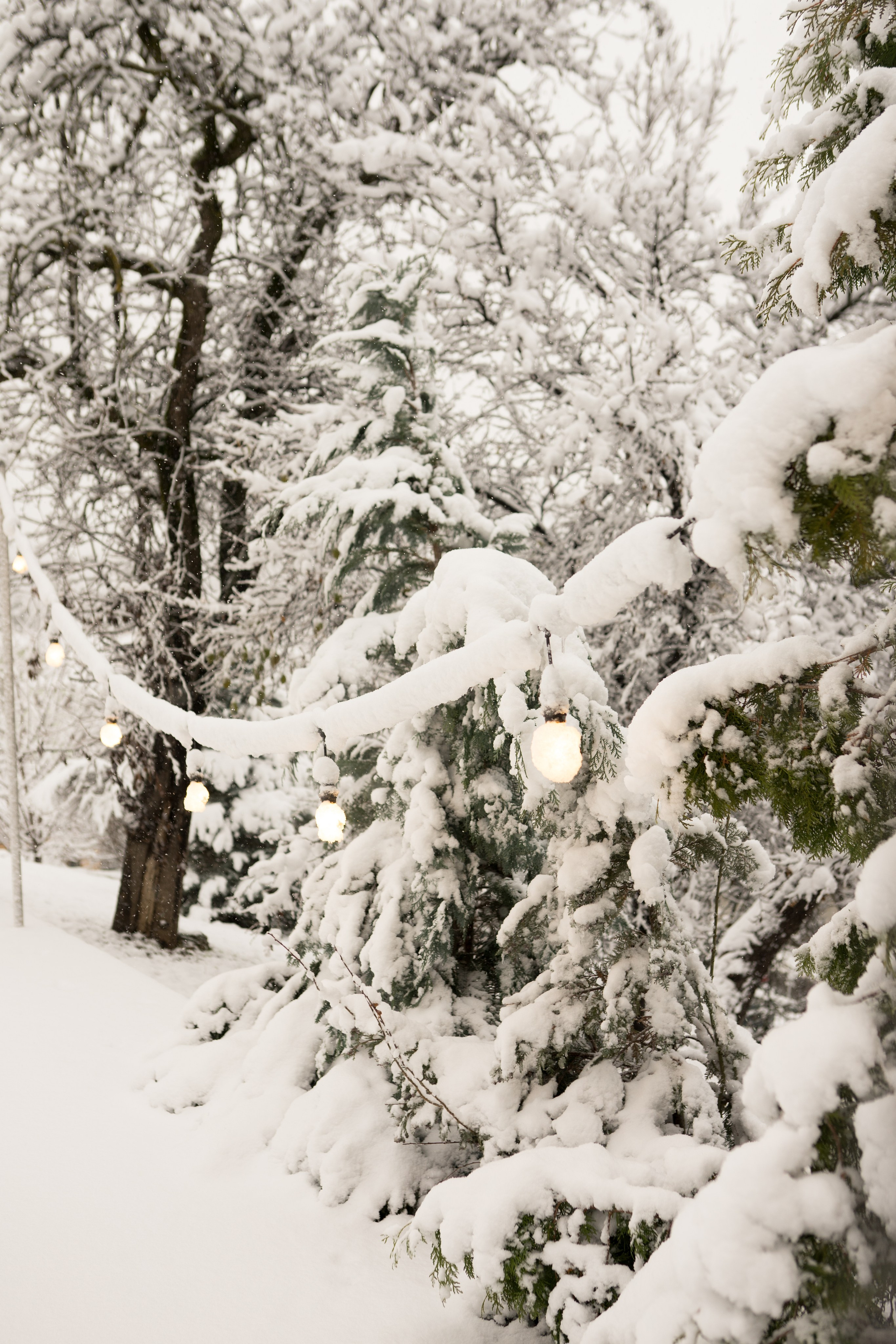 Fotografie de Eveniment Brașov: Povești Vizuale | Mădălina Beda. Madalina Beda- Artist vizual, fotograf, doula la nastere, consultant babywearing Brasov si in toata tara