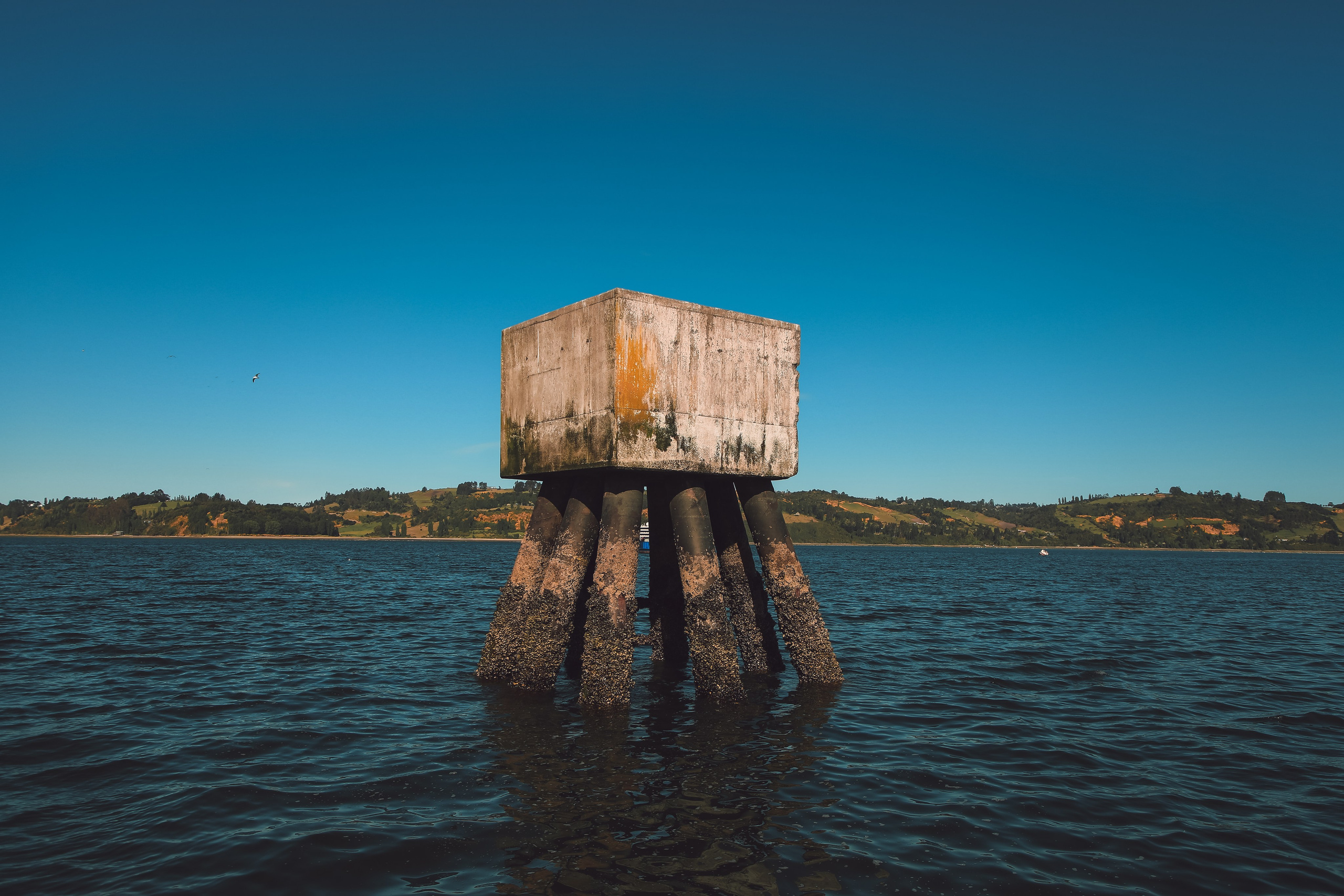 PATAGONIE. Photographe Karen Tatevosian