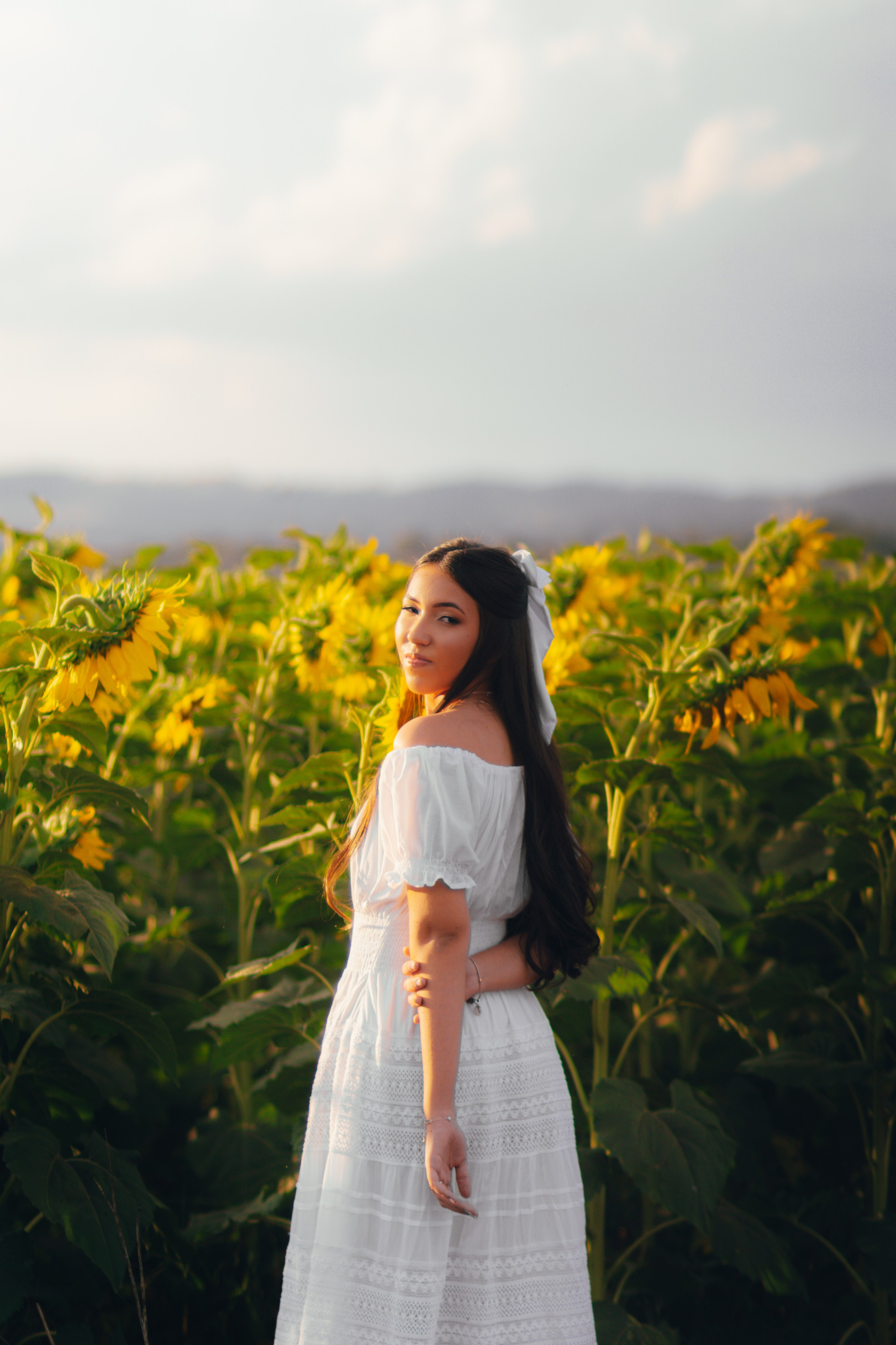 Debutante. Reference Visuals