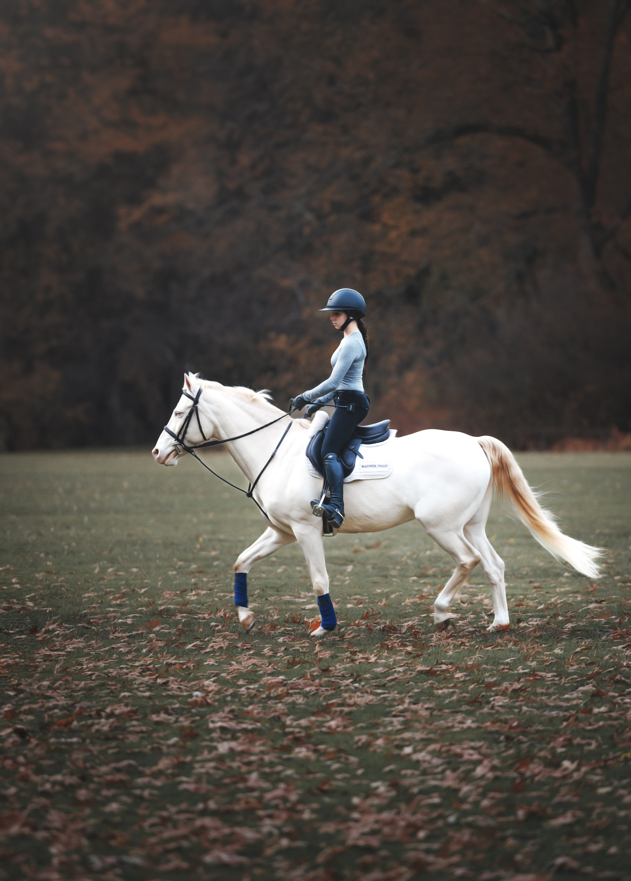 Mel & Christina. Pet Photographer Viktoriya Aleshenko