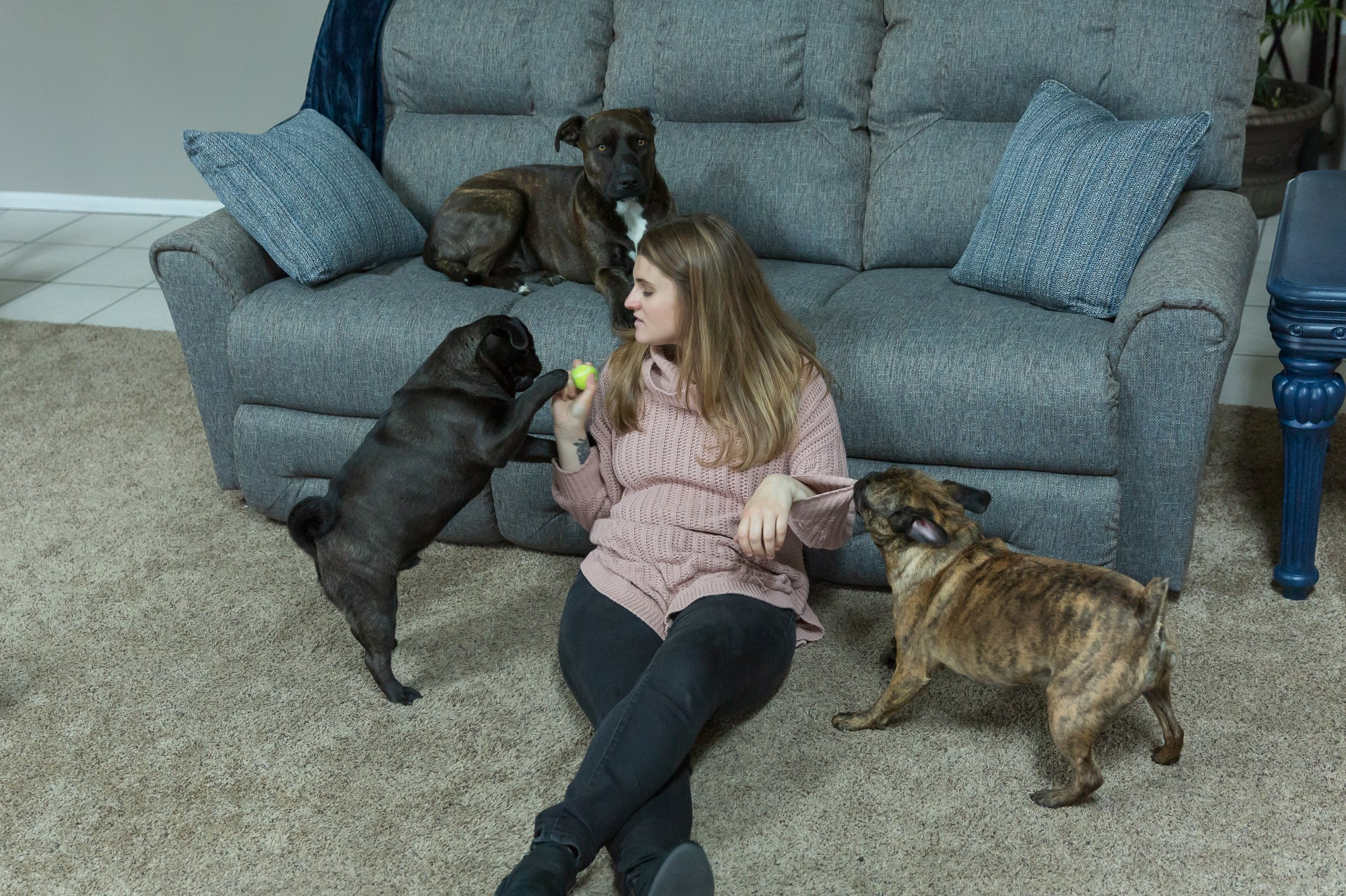 Pets. Pic-Cha Photography | Photographer & Media Content Creator | Metro Detroit Area, Michigan