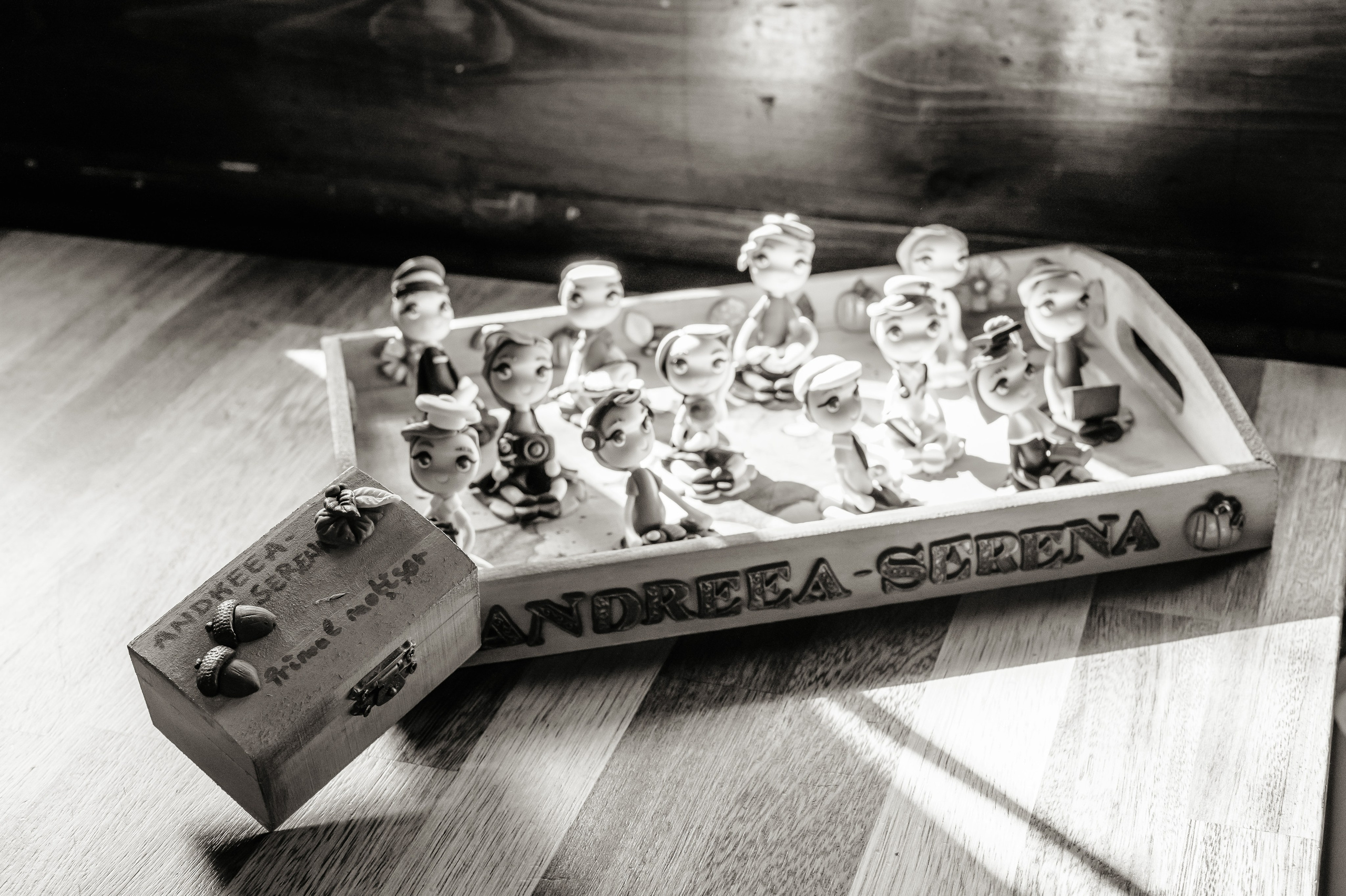 Fotograf turta Serena