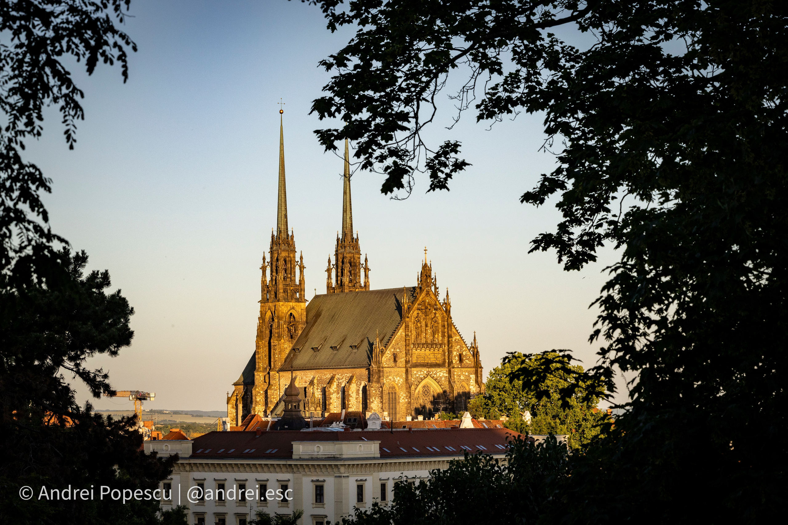 Portofolio