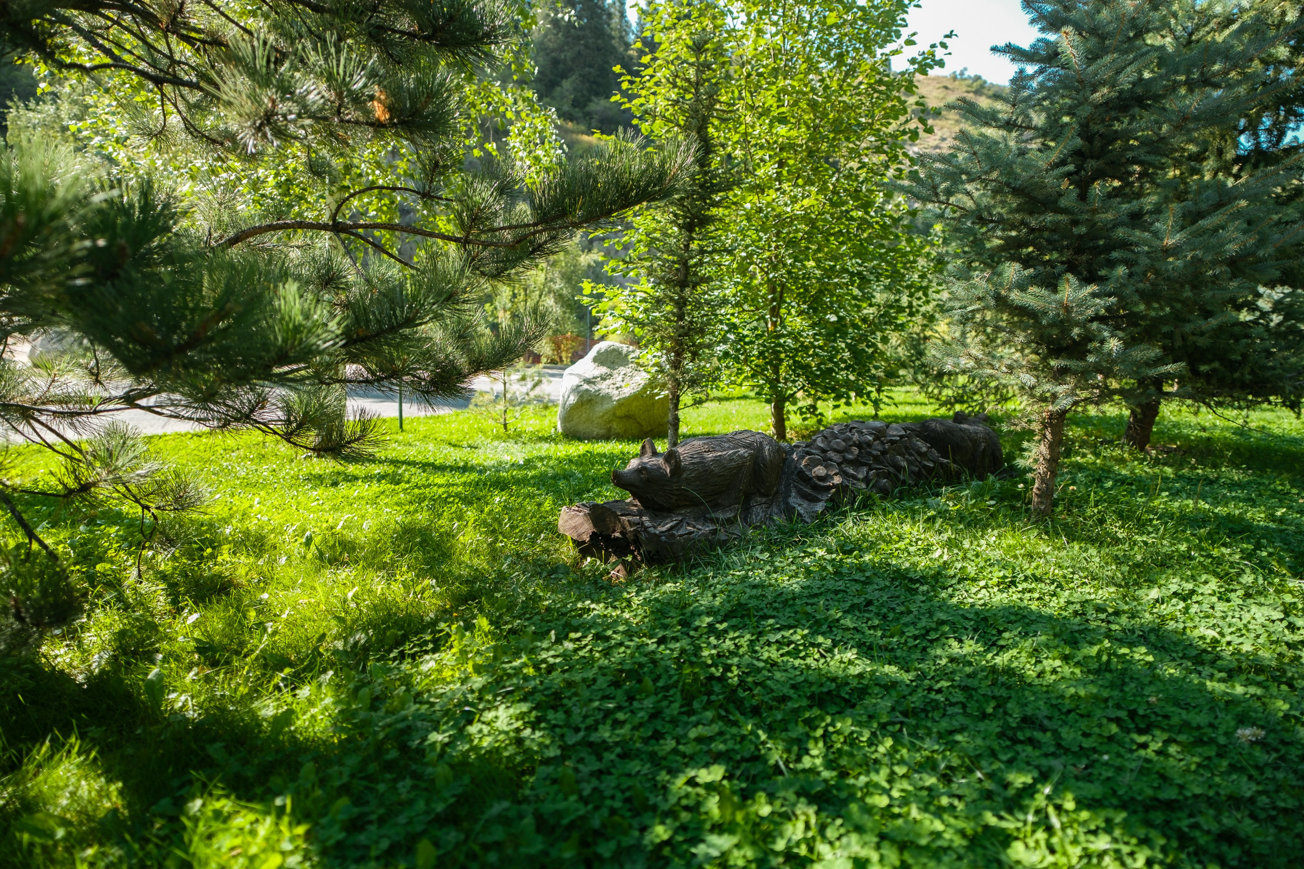 Sigma 12 mm F/1.4 DC DN Contemporary. Фотограф Григорий Кравец