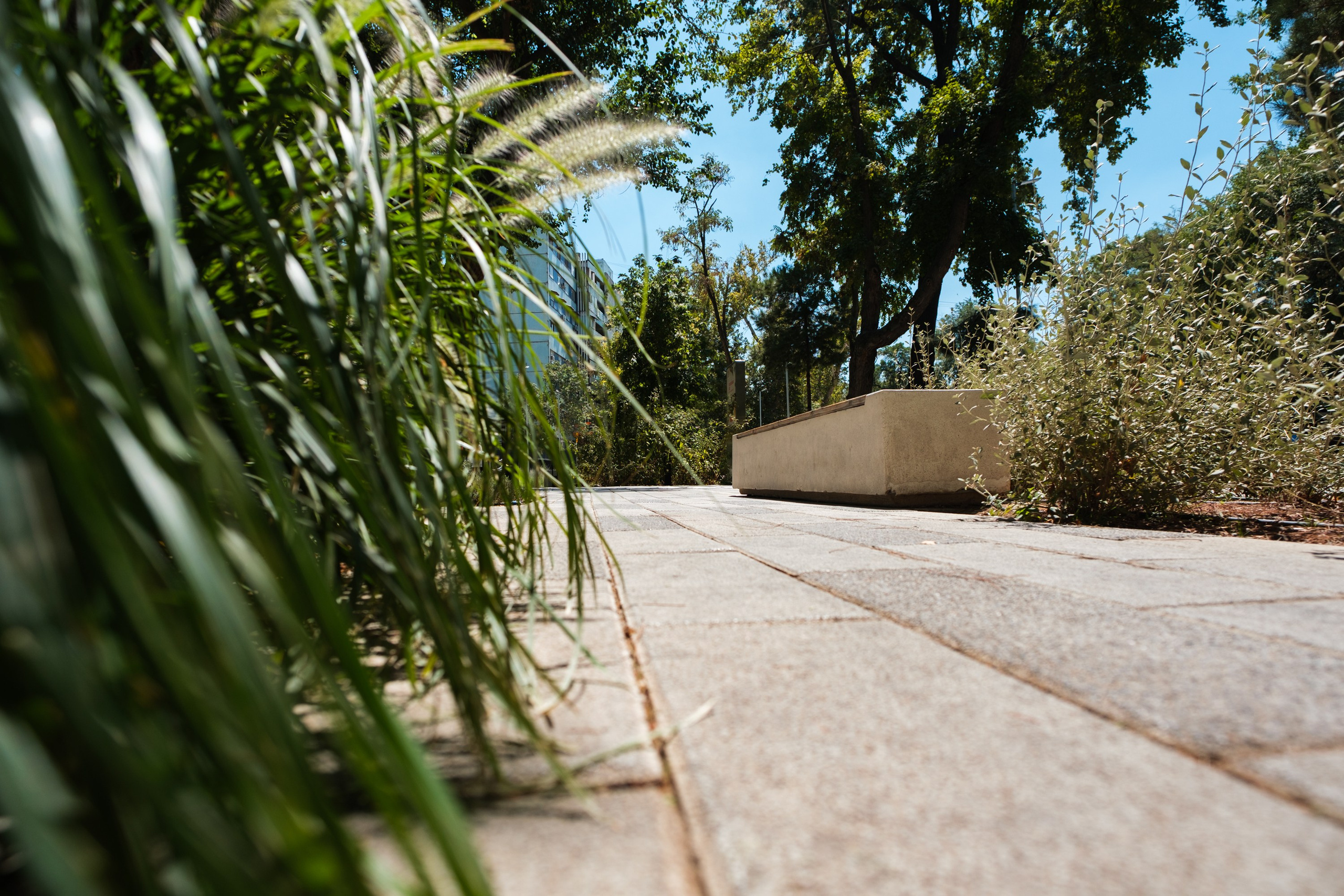 Sigma 12 mm F/1.4 DC DN Contemporary. Фотограф Григорий Кравец