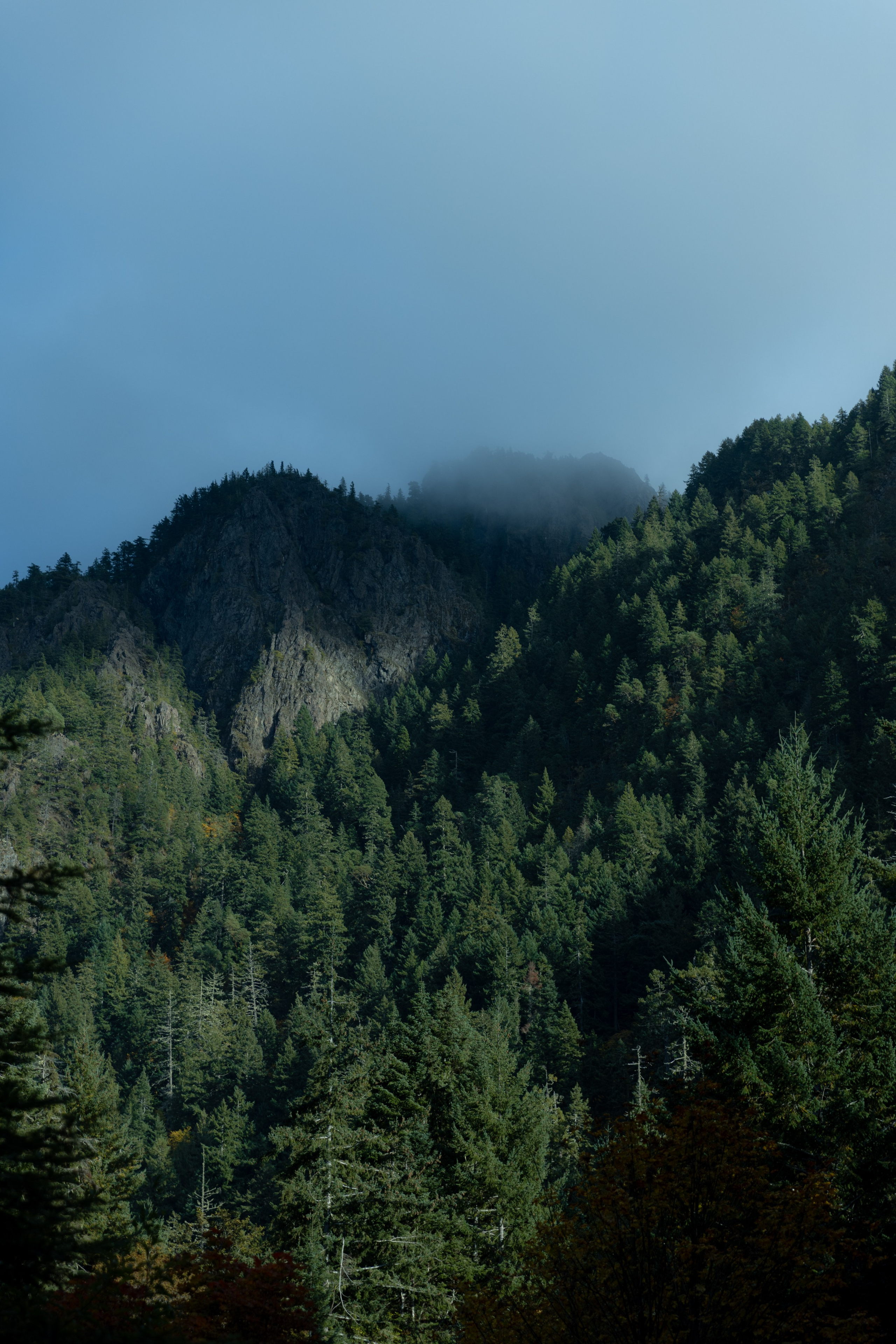 Twilight | Wallpapers. Photographer in Los Angeles. Julia Ishmuratova