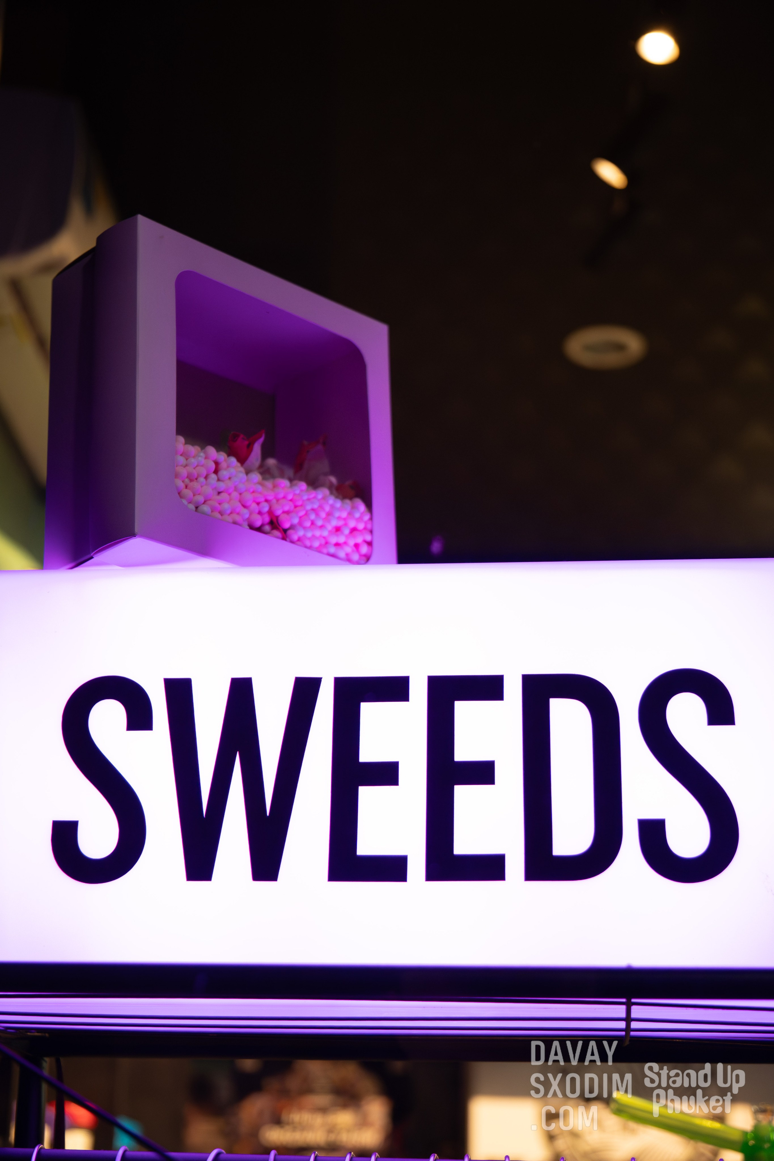 Standup-шоу «Тай-Болтай» | Фоторепортаж | Афиша | DAVAYSXODIM.com PHUKET. АФИША|ФОТОРЕПОРТАЖИ|ИВЕНТЫ|ПХУКЕТ