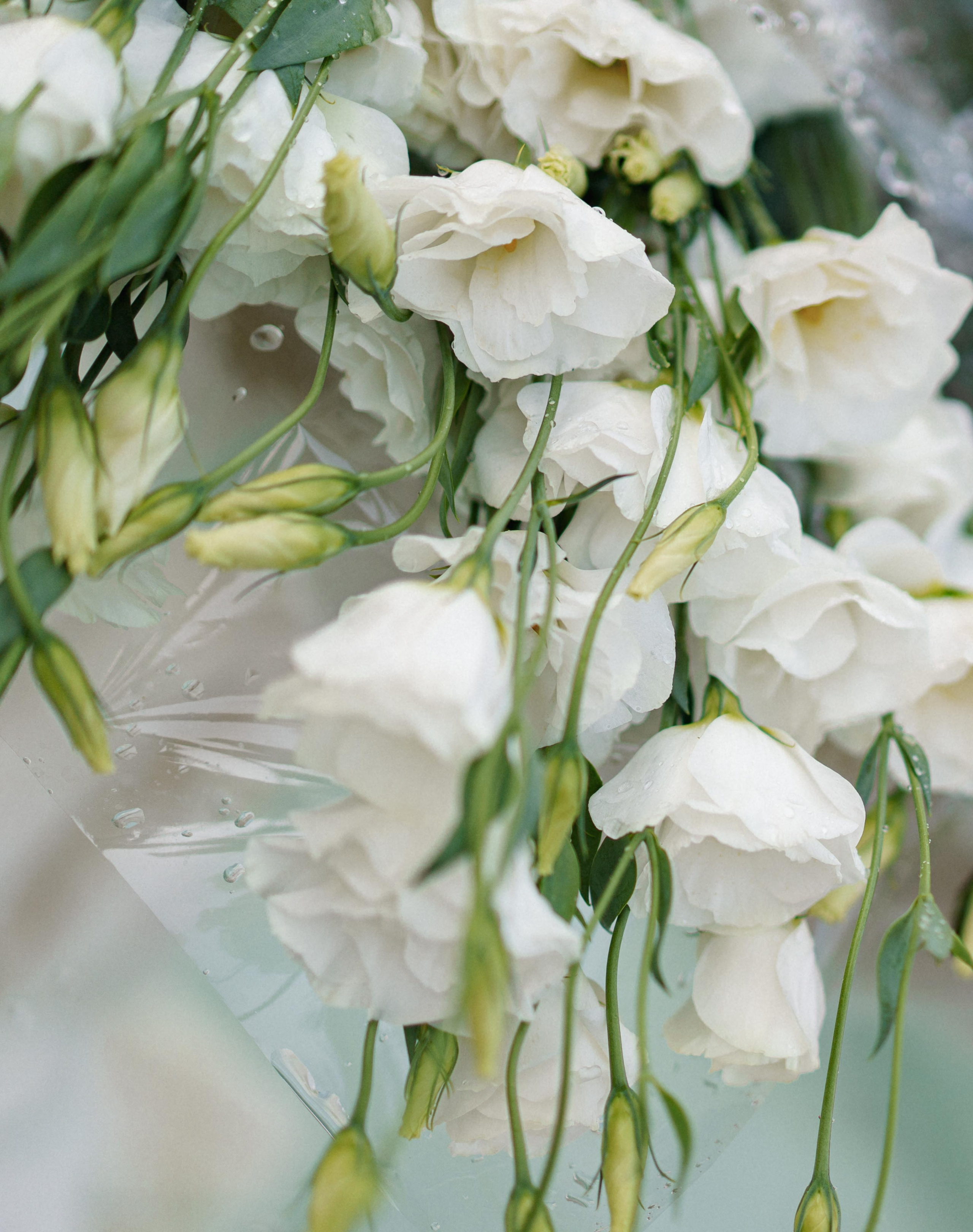 Julia & Igor. Wedding and family photographer Ireland