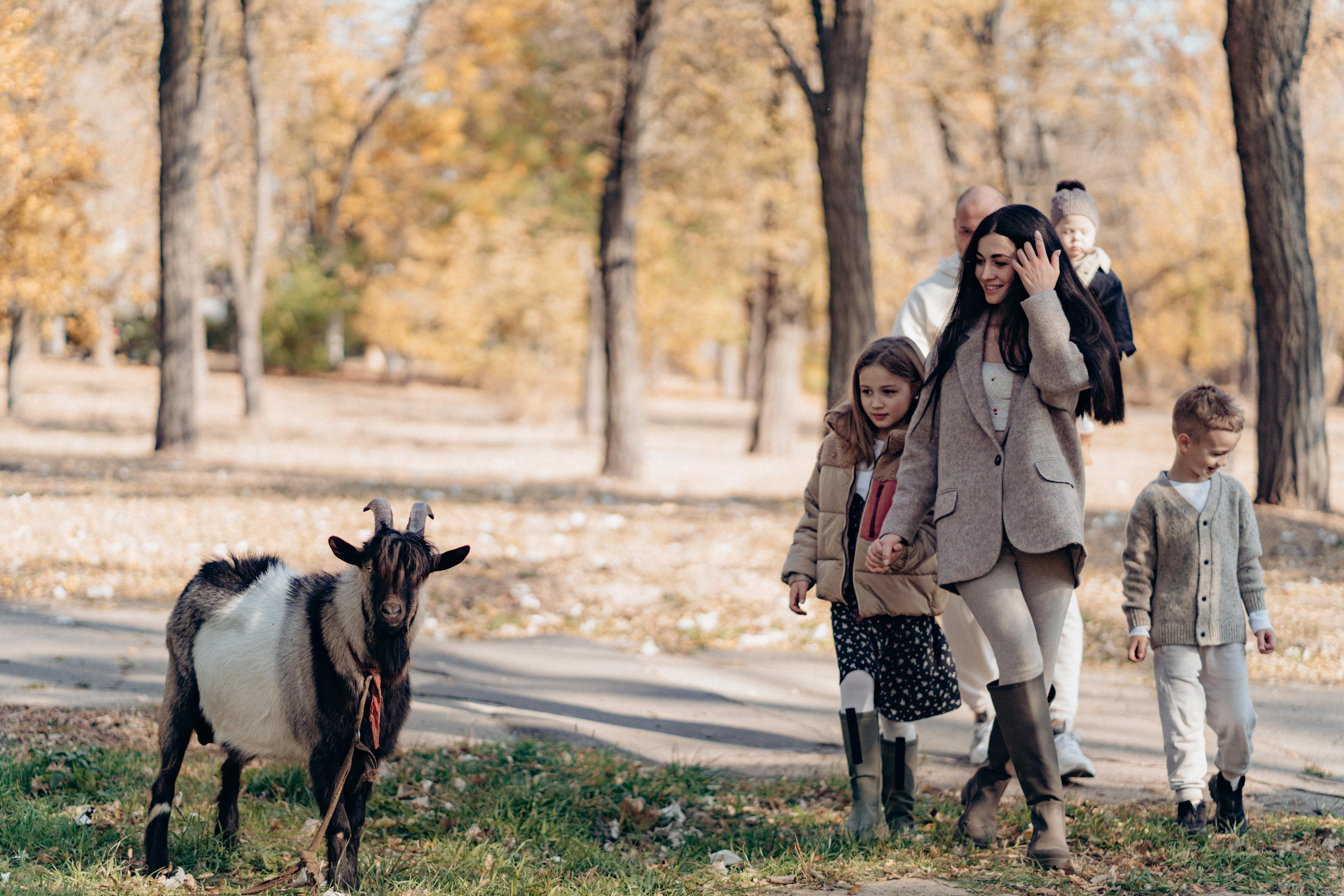 Family photoshoot. Wedding and family photographer Ireland