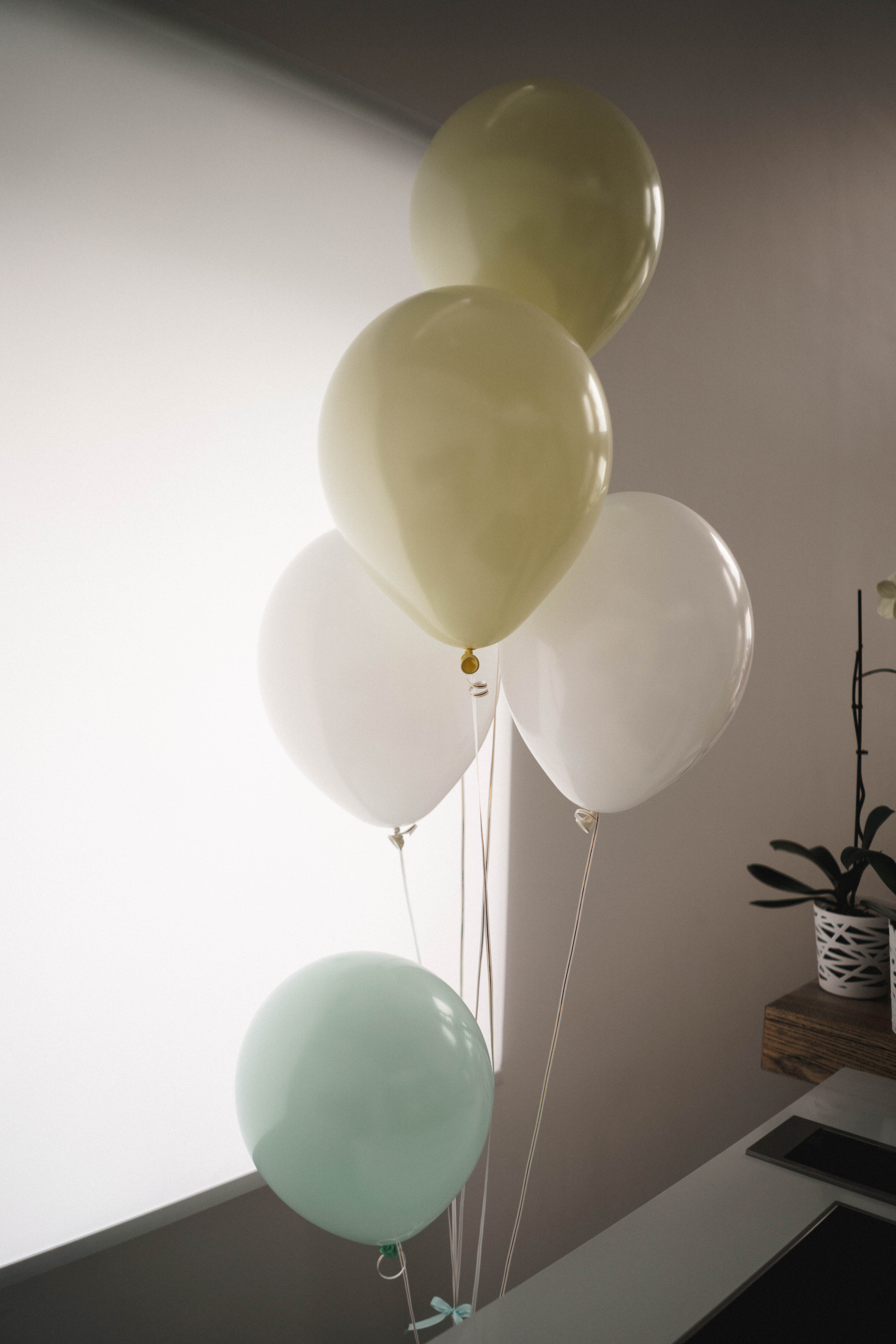 Family photoshoot. Wedding and family photographer Ireland