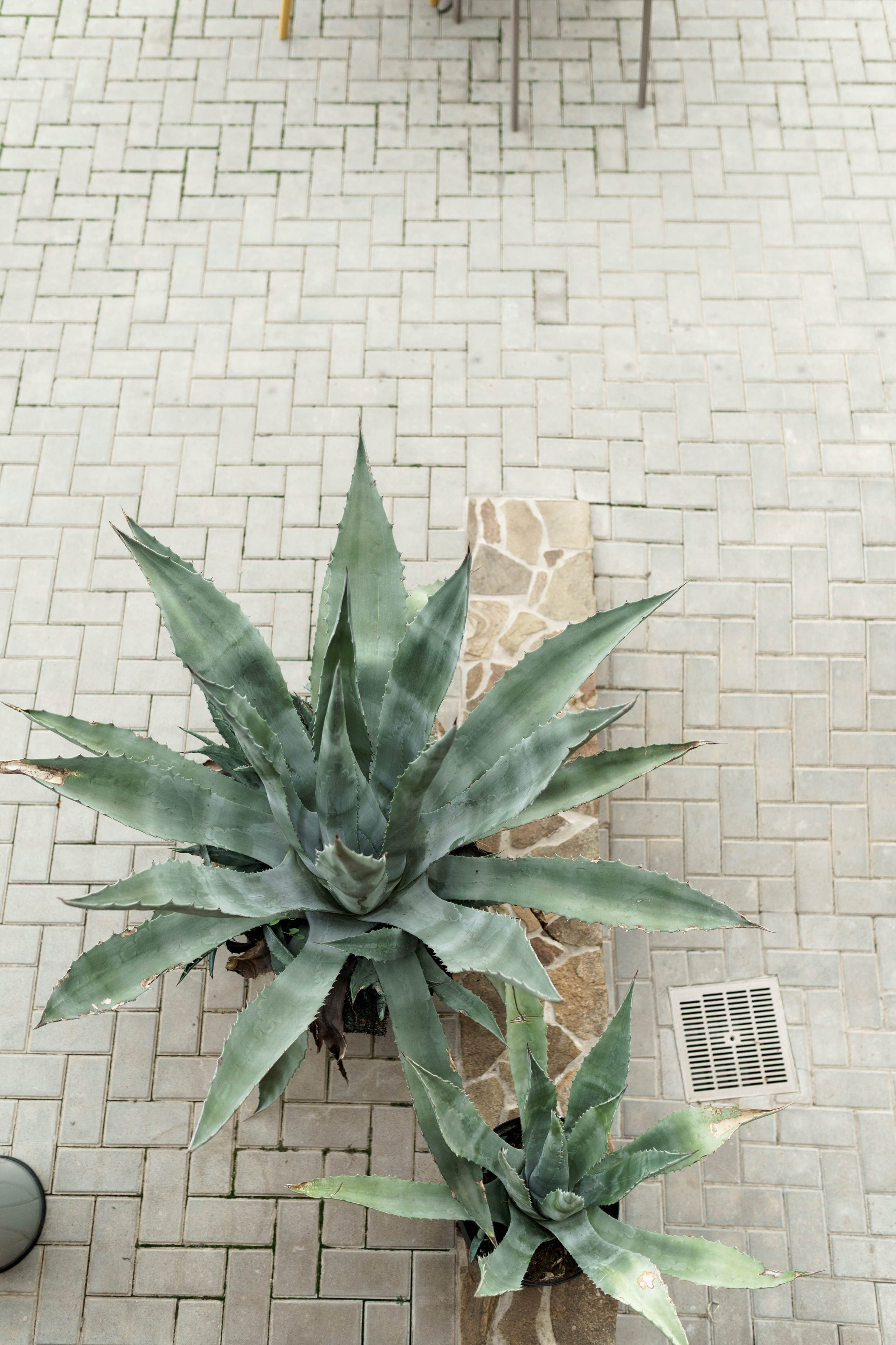 Wedding day. Wedding and family photographer Ireland