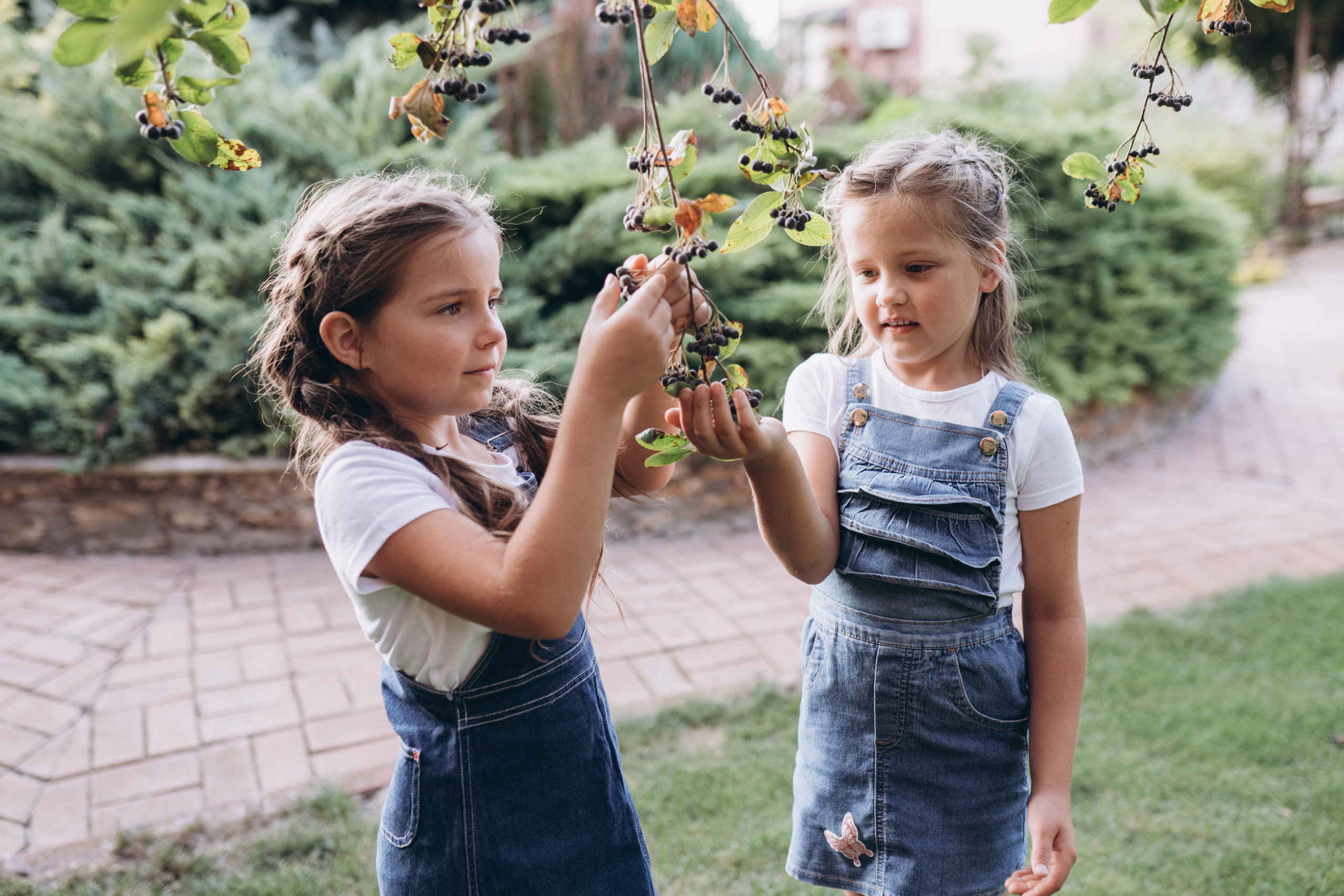 Family photoshoot. Wedding and family photographer Ireland