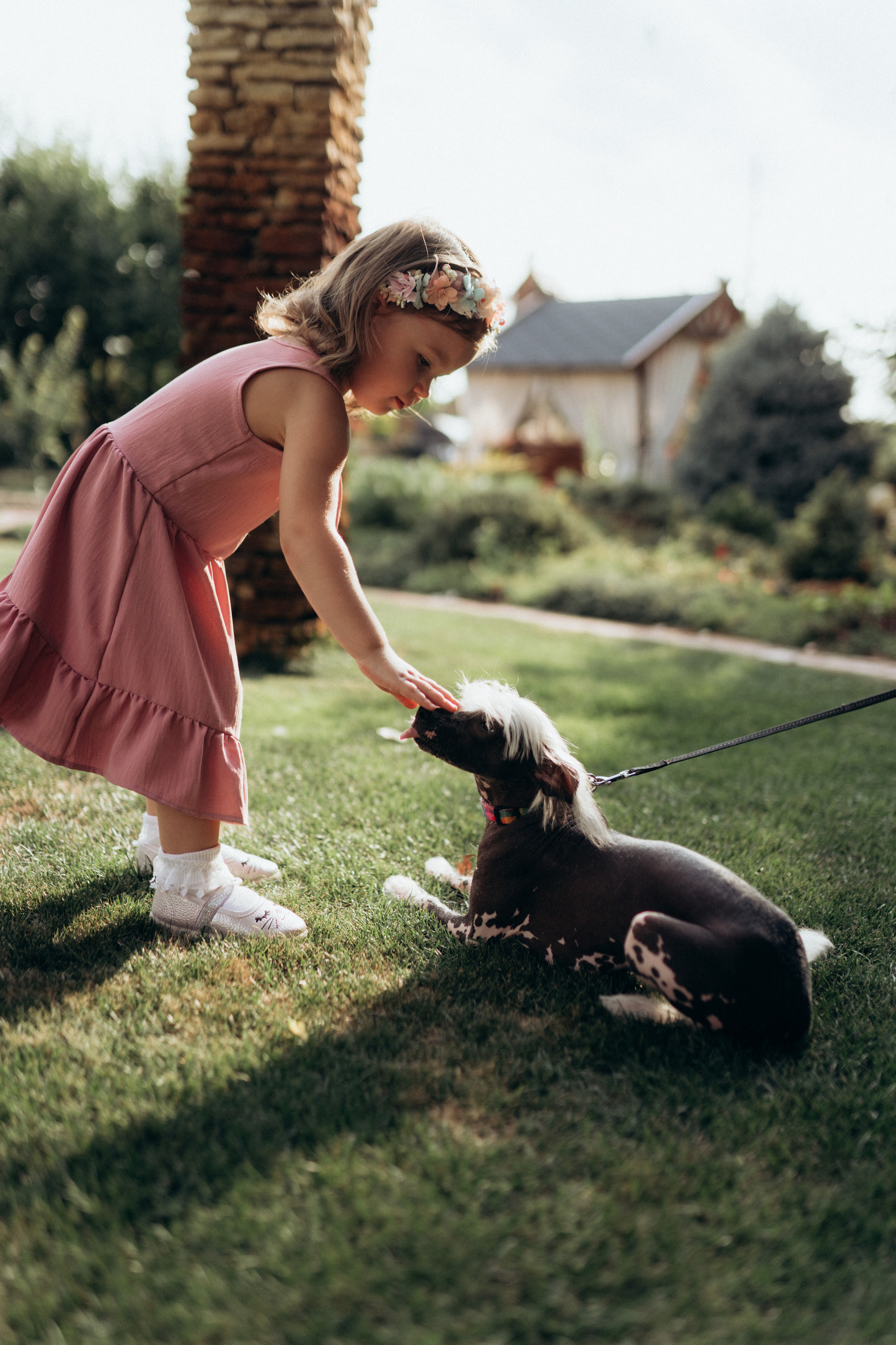 Family photoshoot. Wedding and family photographer Ireland