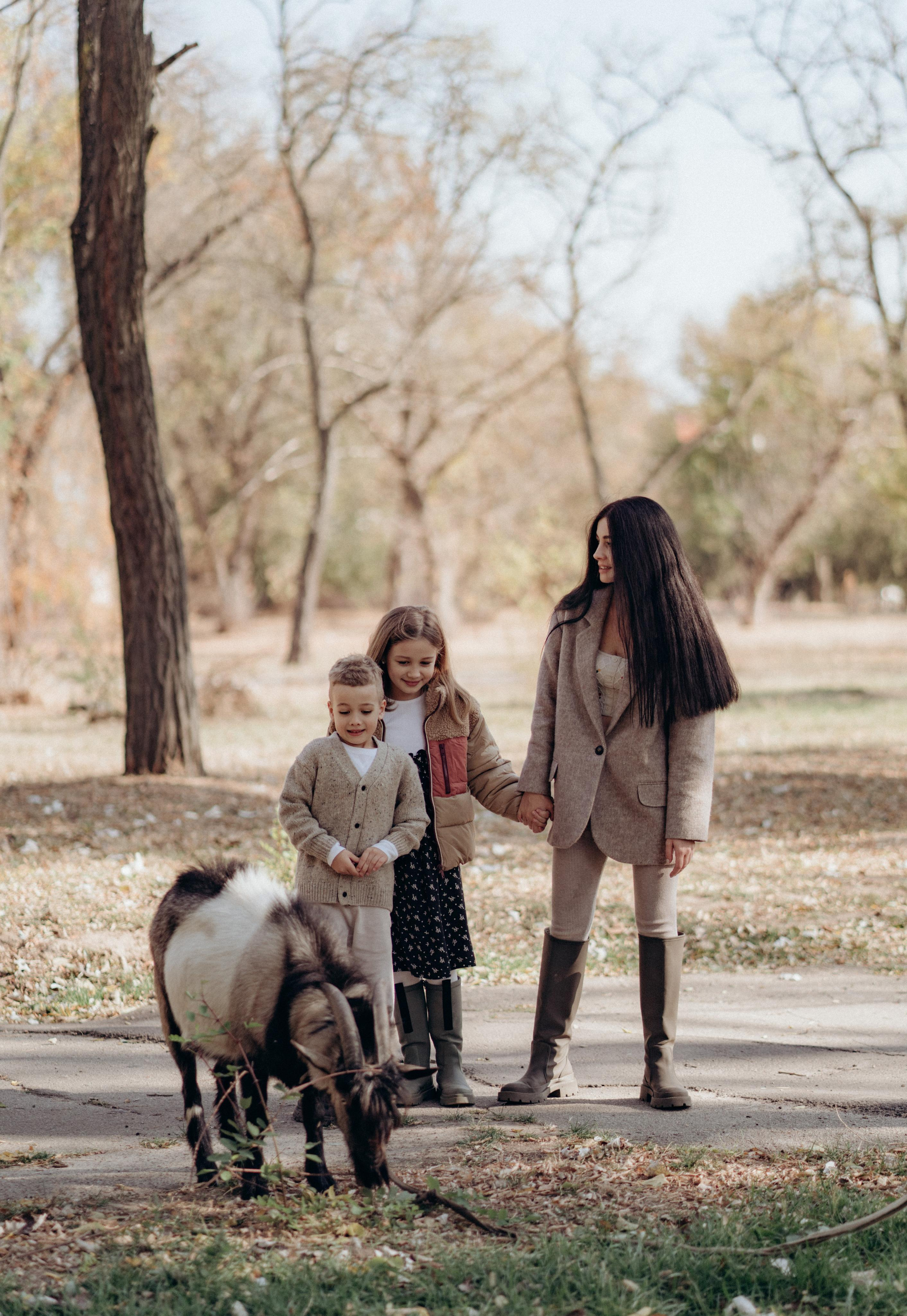 Family photoshoot. Wedding and family photographer Ireland