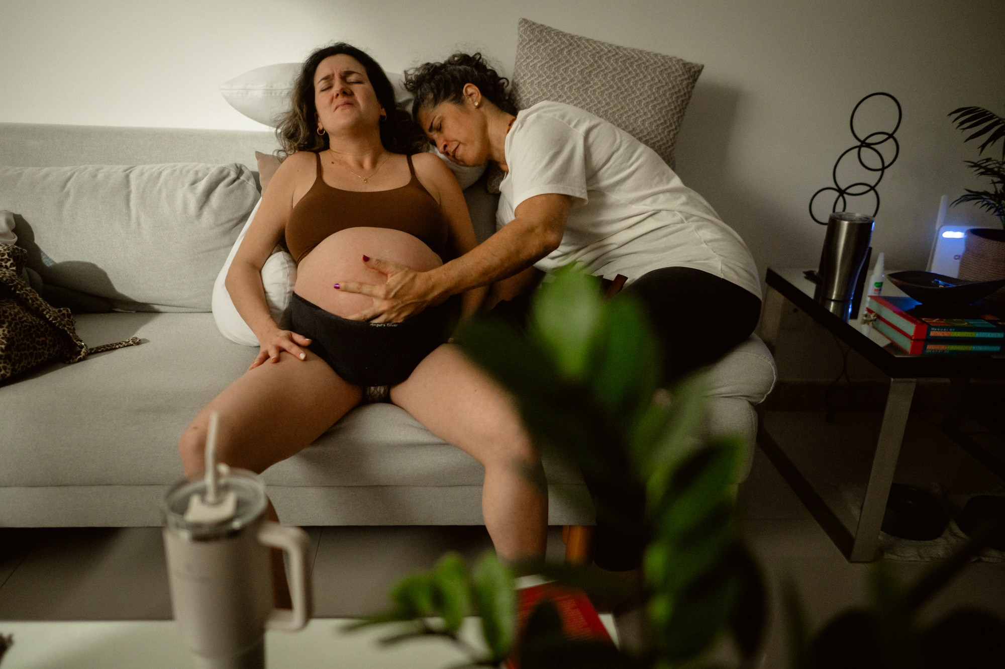 Nascer Frederico. Água Carmim Fotografia