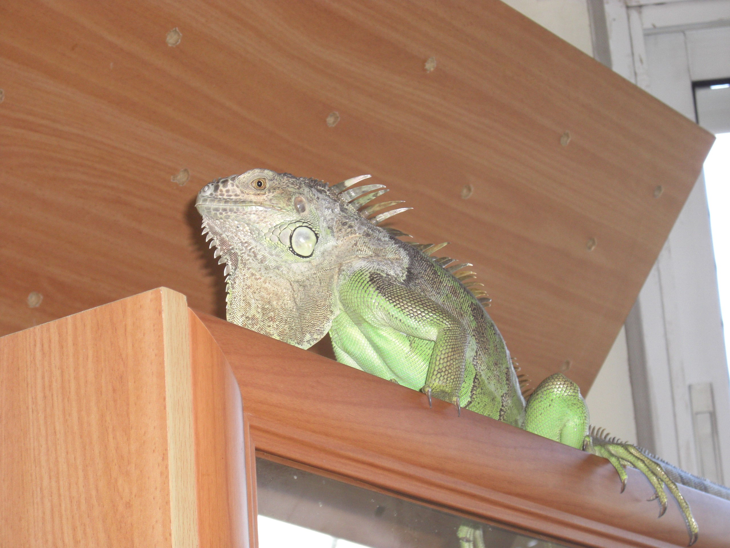 Everything from everything