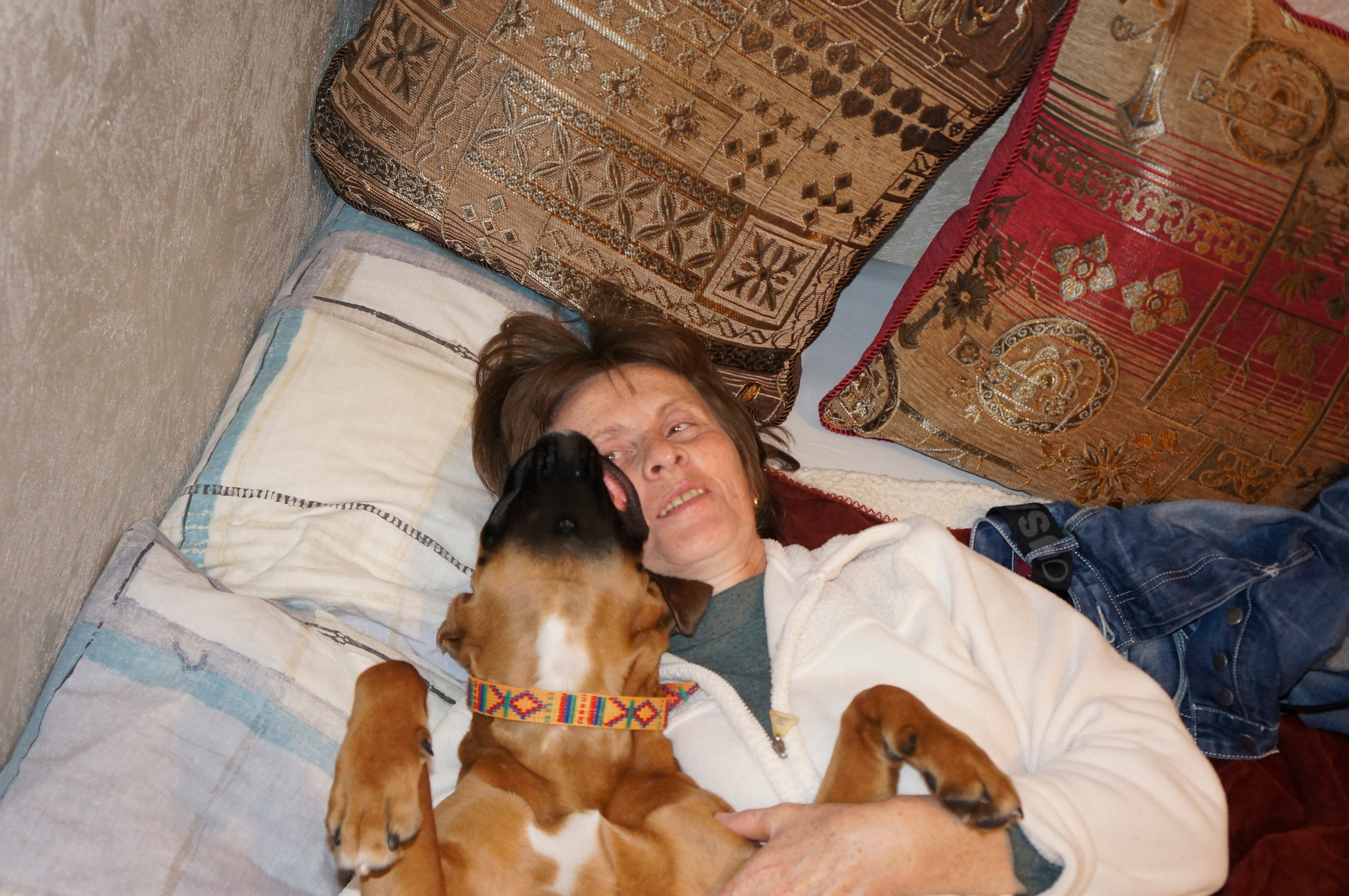 My ״Star״ Boxer Dog