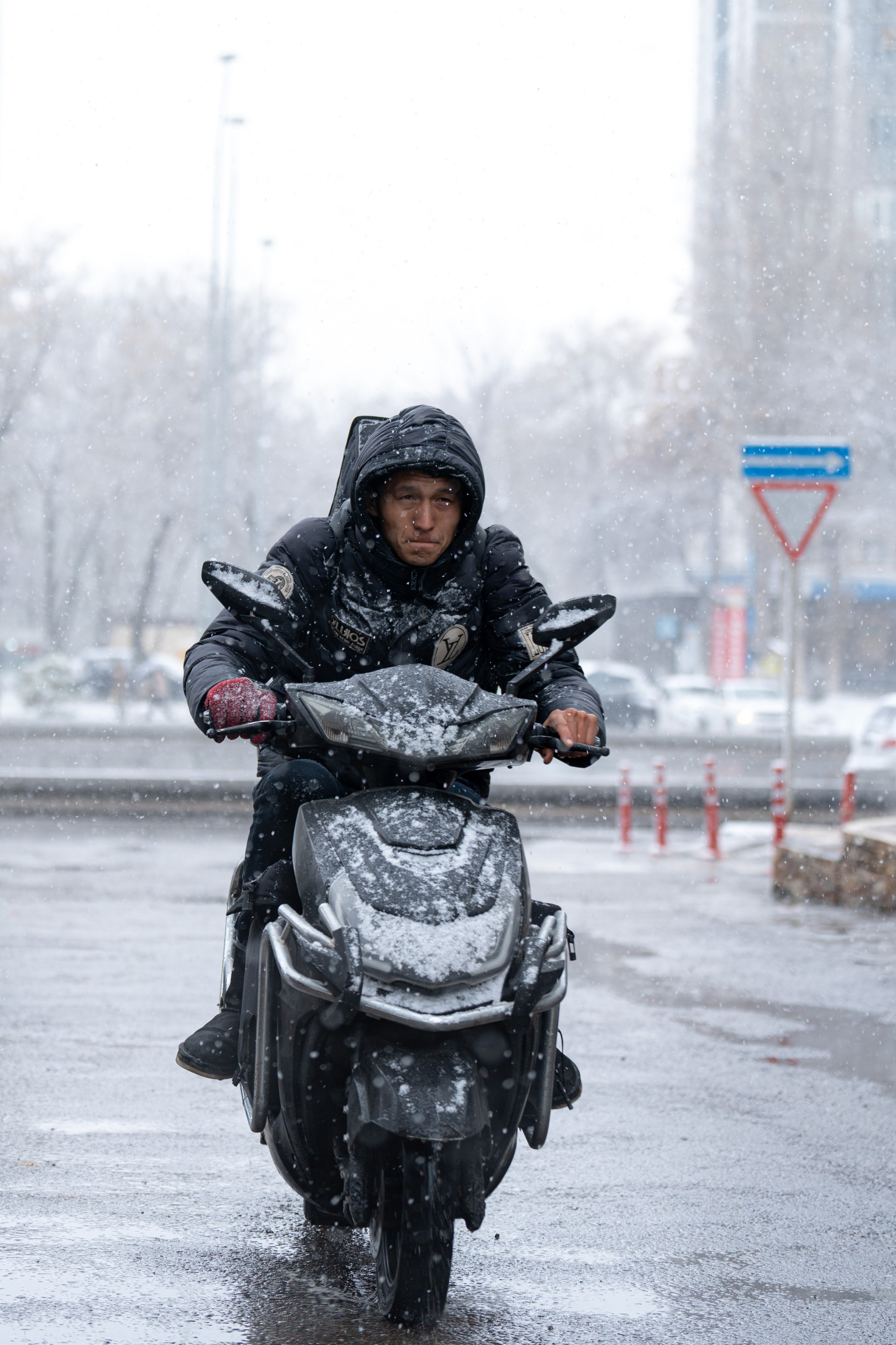 Первый снег в 2024 году. Георгий Намазов | Фотограф в Ташкенте