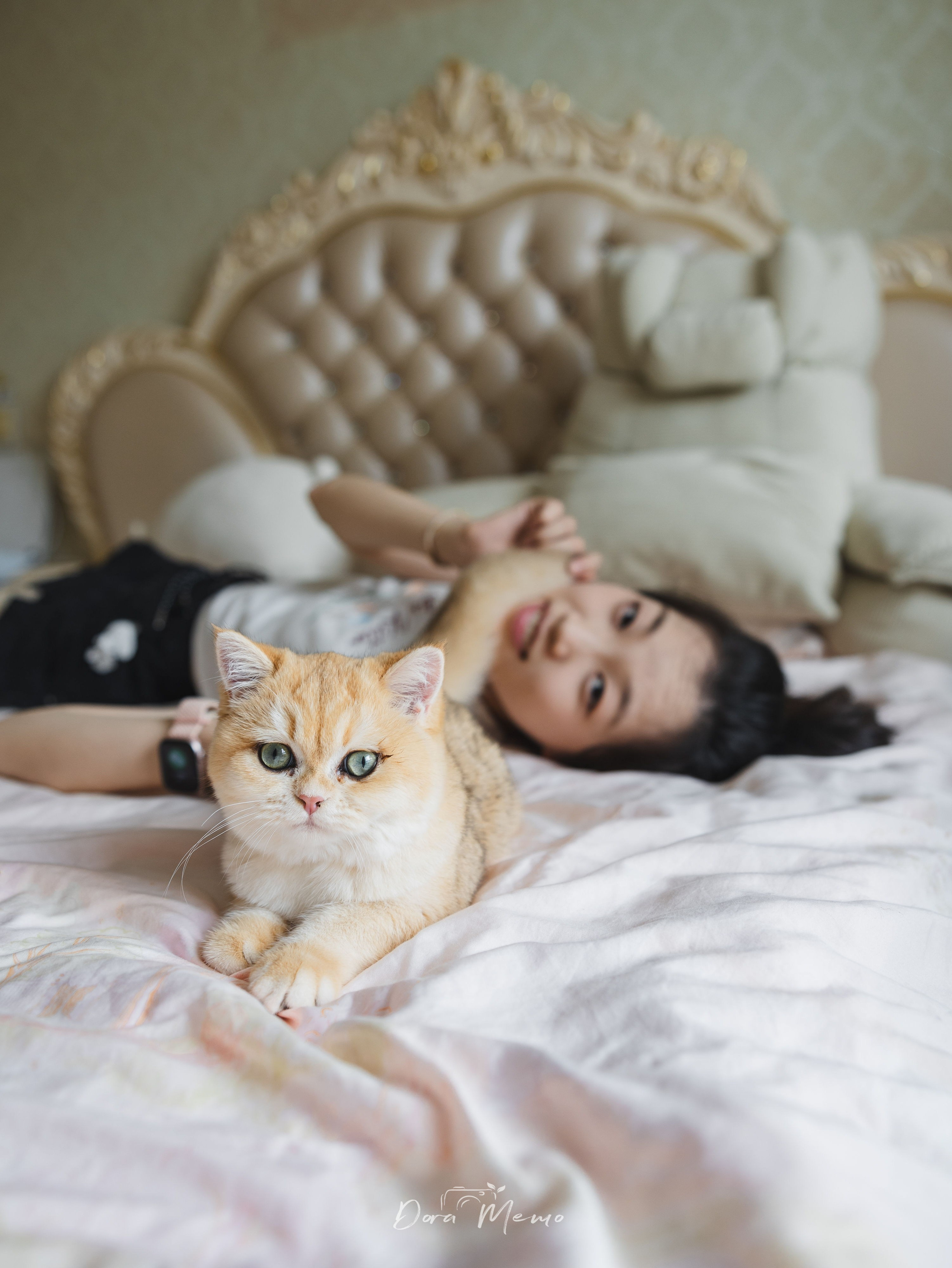 An orange cat rests close to her human during a quiet bedroom moment.