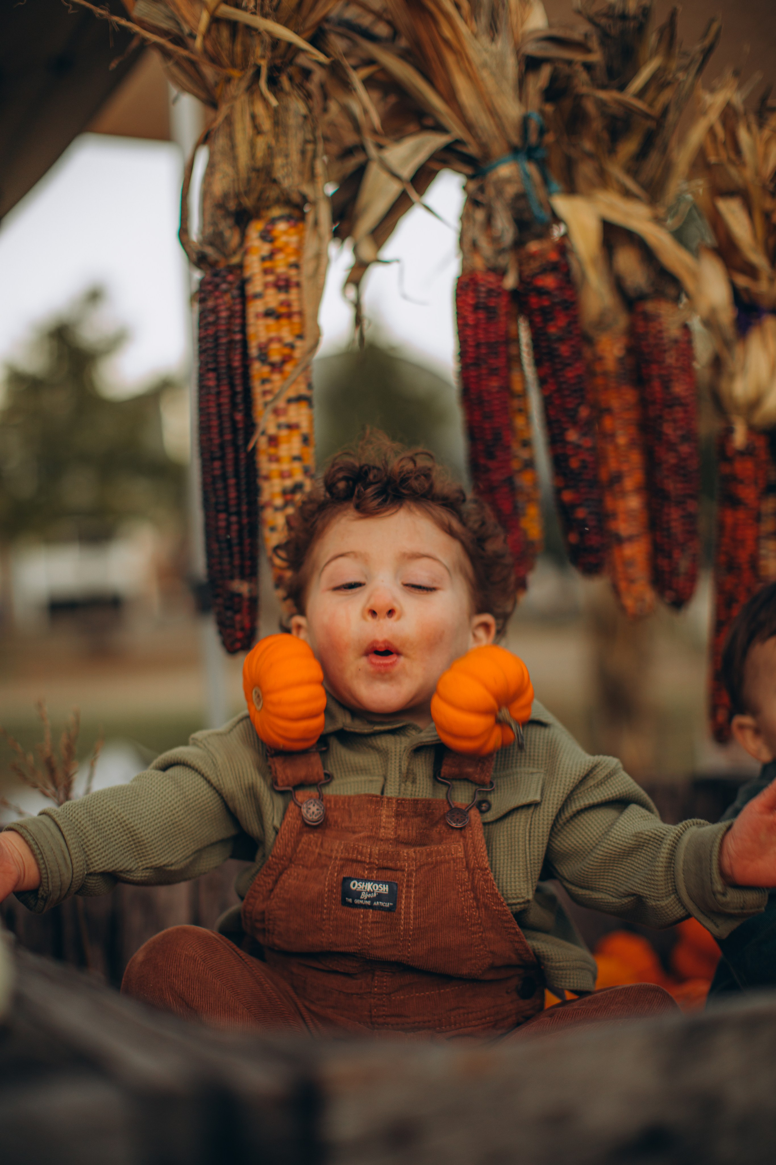 Victoria, Nick, Grayson and Noah at Harvest Moon Farm. Love Through Photo