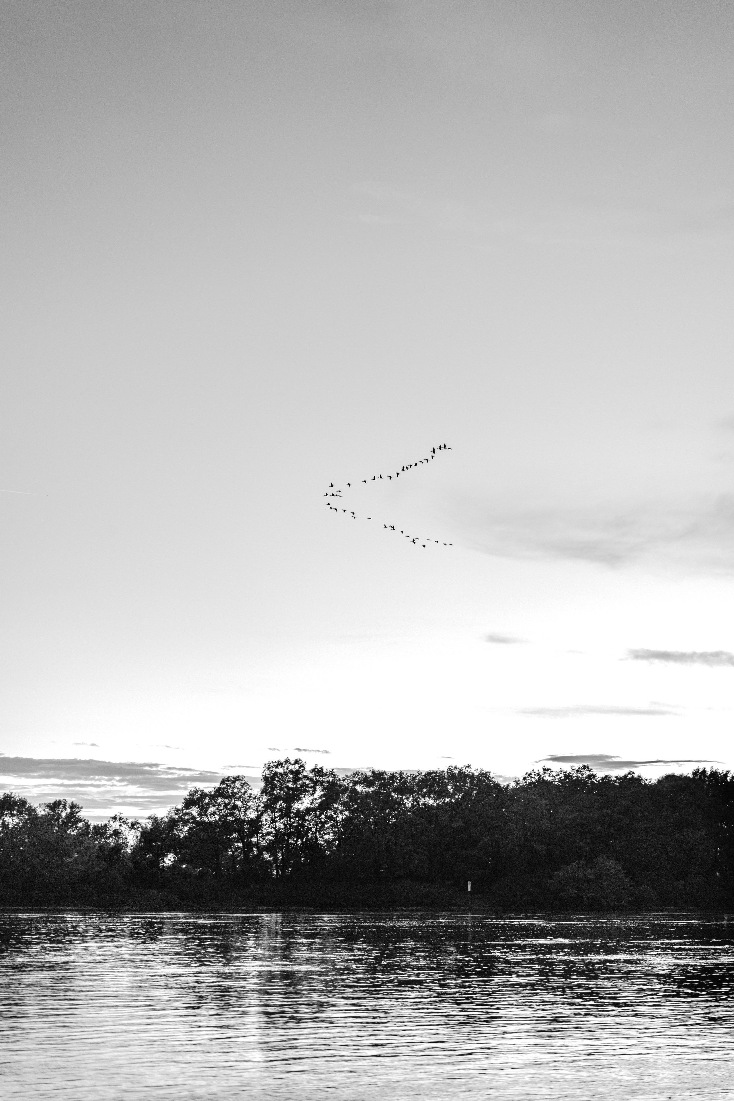 Вера 40. Frenkel Nadja Fotograf in Darmstadt|Frankfurt|Wiesbaden