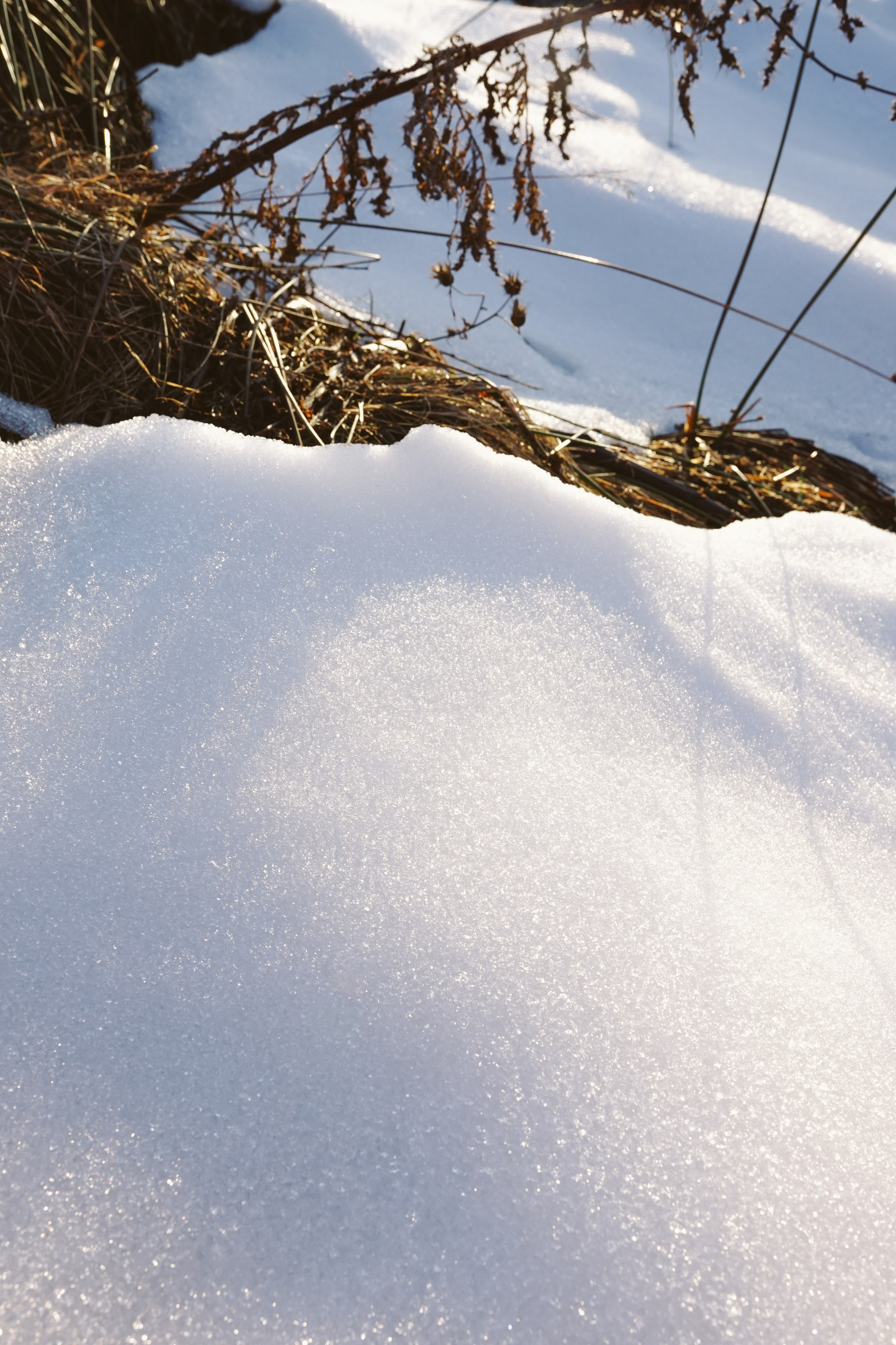 Mărțișorul x Mes Amis: O Poveste de Primăvară | Mădălina Beda. Madalina Beda- Artist vizual, fotograf, doula la nastere, consultant babywearing Brasov si in toata tara