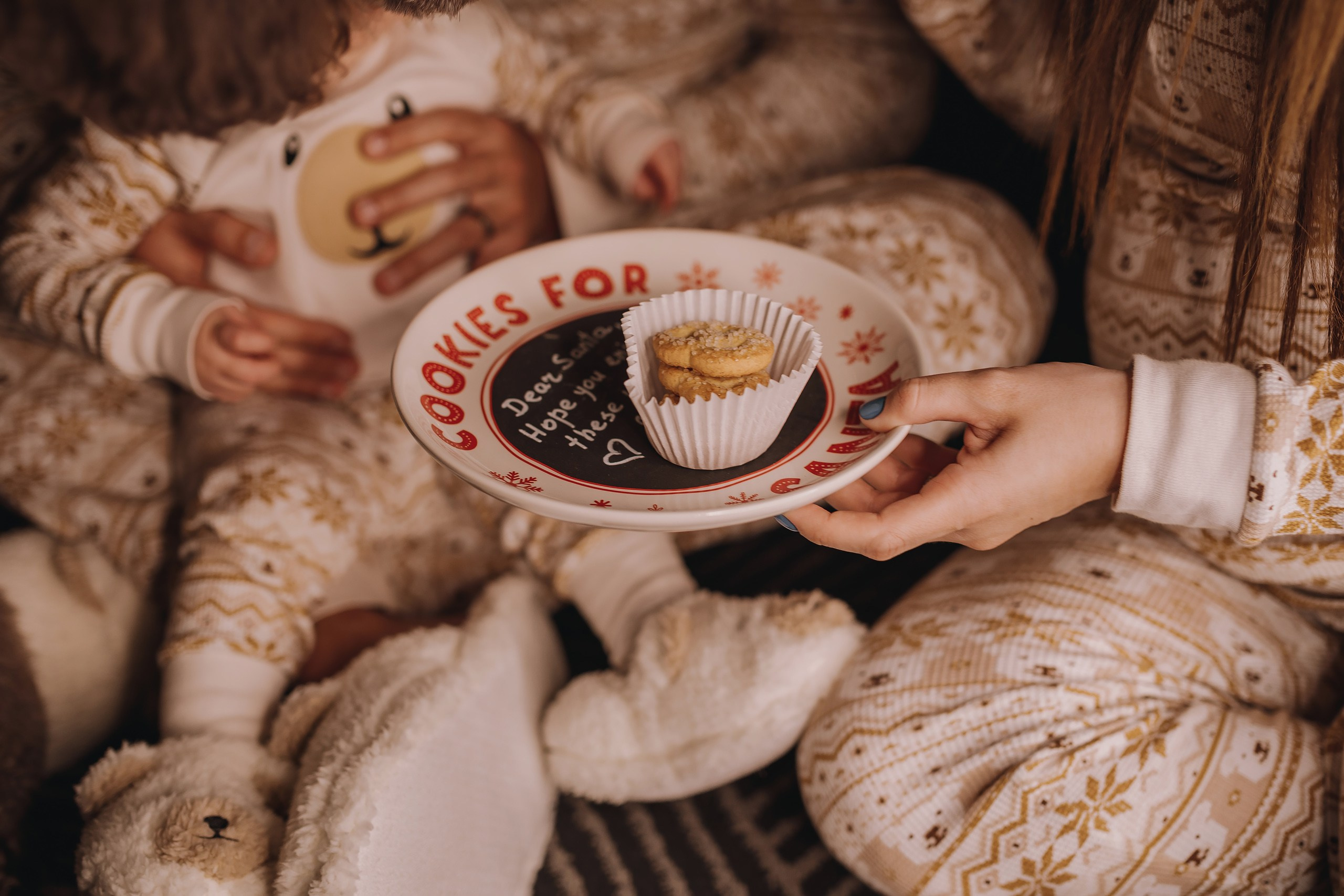 09.12.2023 Christmas Photoshoot. Wedding family event photographer in Chicago Nick Yushevich