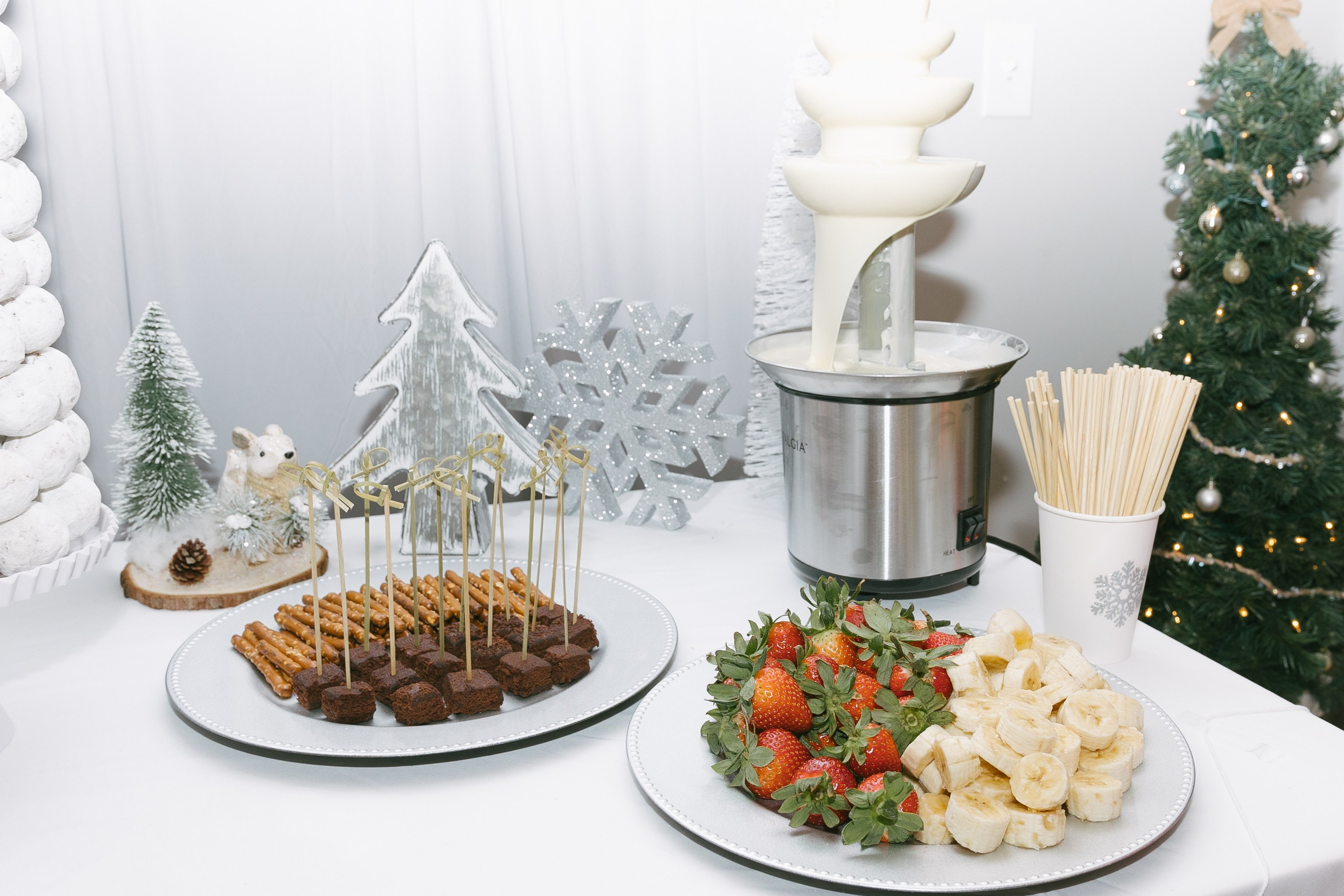 Twins Birthday. Sara Eulalia | Virginia Photographer