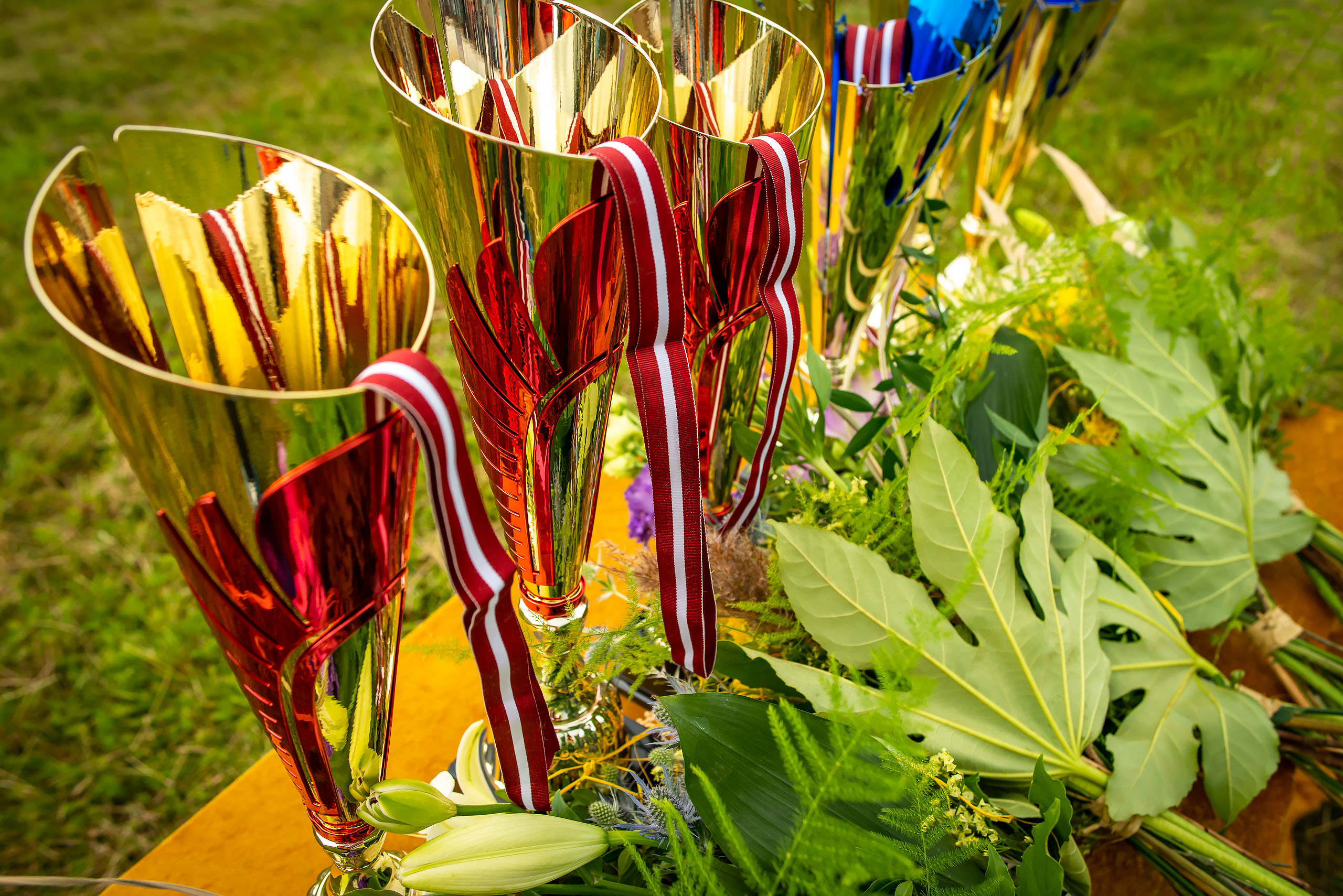 Latvijas čempionats / 2020. Fotogrāfs Romualds Rubenis un Artemijs Stašāns