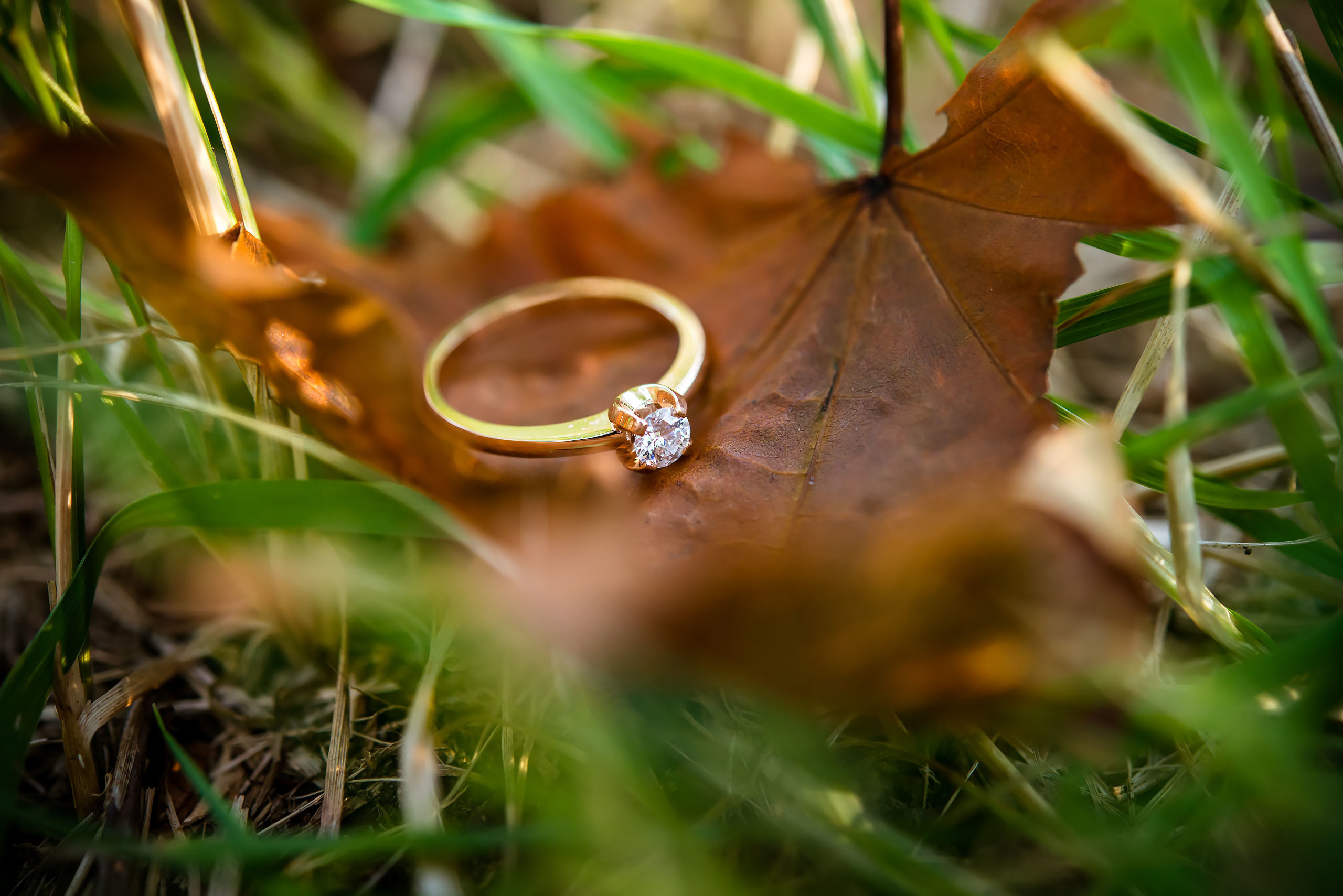 Fotogrāfs Romualds Rubenis un Artemijs Stašāns