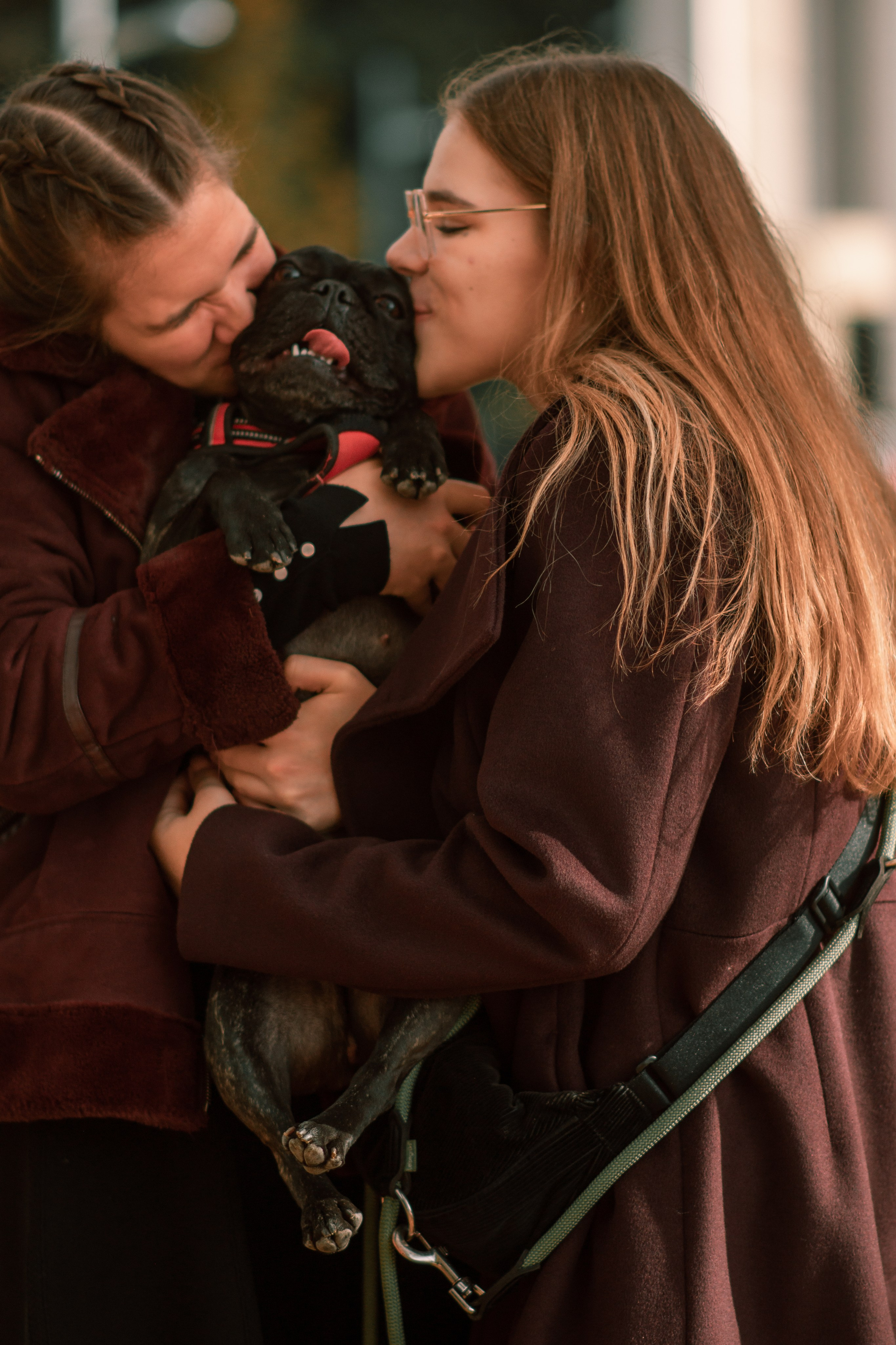 Осень. Семейный и детский фотограф