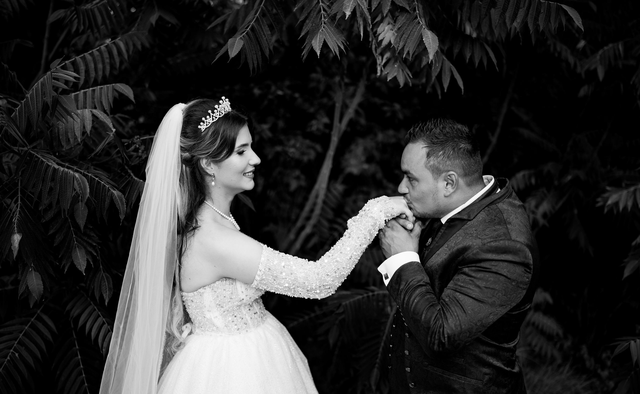 Portofoliu Fotograf Nunta Tulcea — Selectii | Codux. Codux — Fotograf Tulcea | Fotograf Evenimente