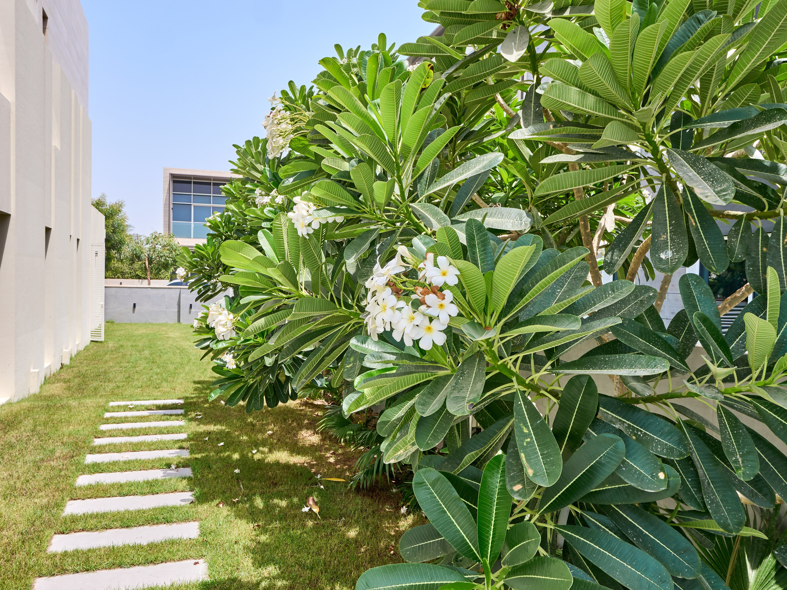 Real Estate Photography in Dubai — Interior & Villa Photos for Bayut, Airbnb, Property Finder. Hotel Photographer in Dubai — Interiors & Commercial by Oleg Novikov