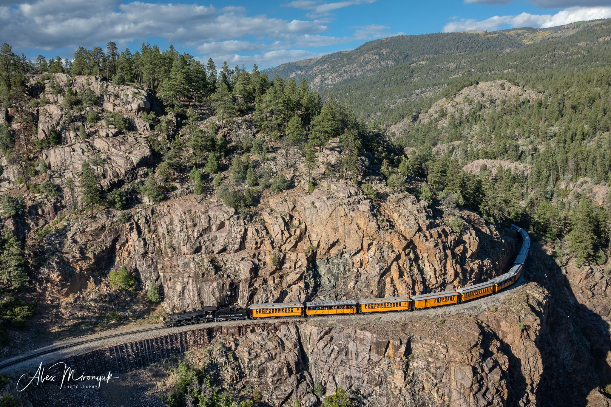 Fall Colors Of Colorado. Pet, Senior, Landscape, portrait studio, photographer in Miami and Sou
