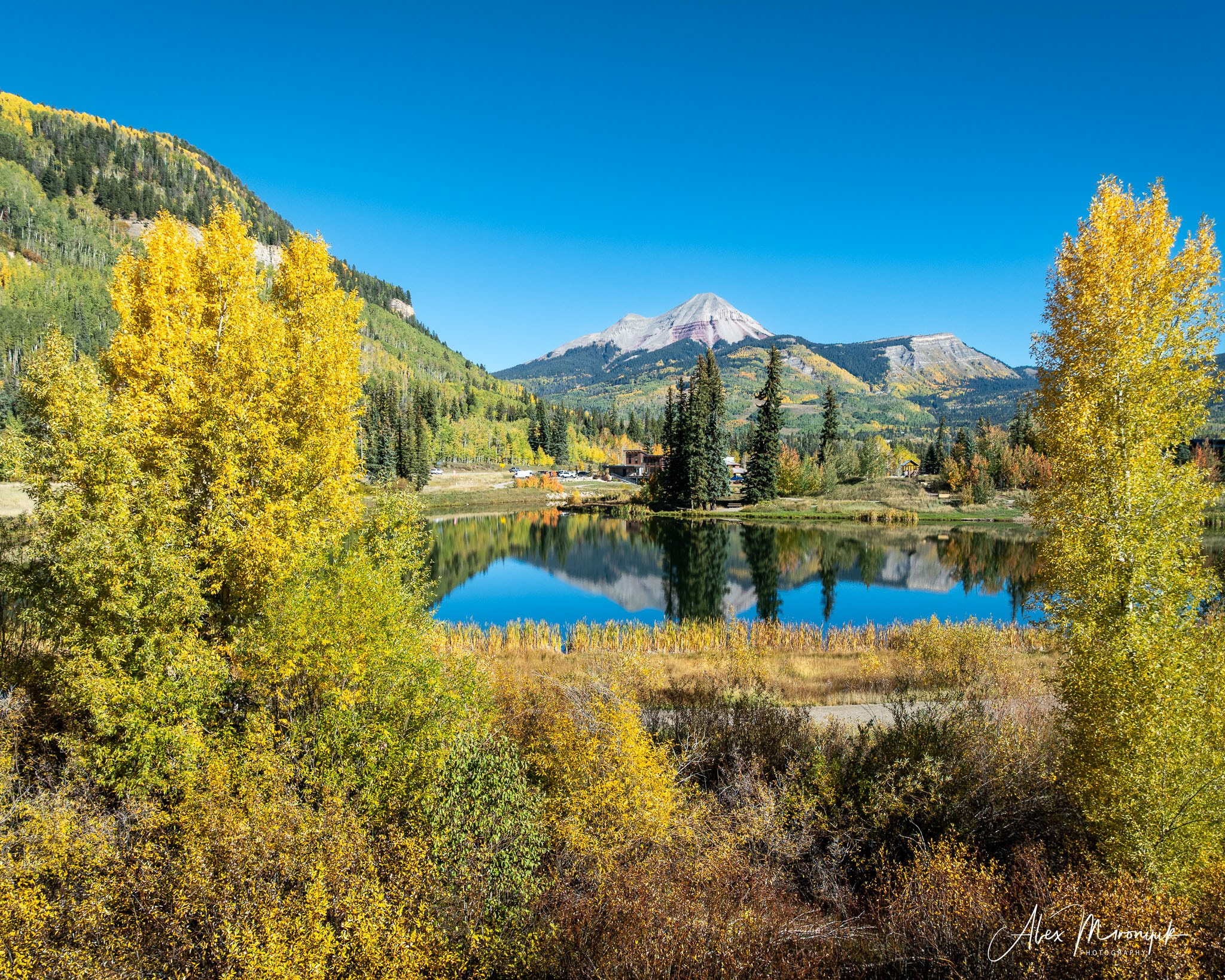 Fall Colors Of Colorado. Pet, Senior, Landscape, portrait studio, photographer in Miami and Sou