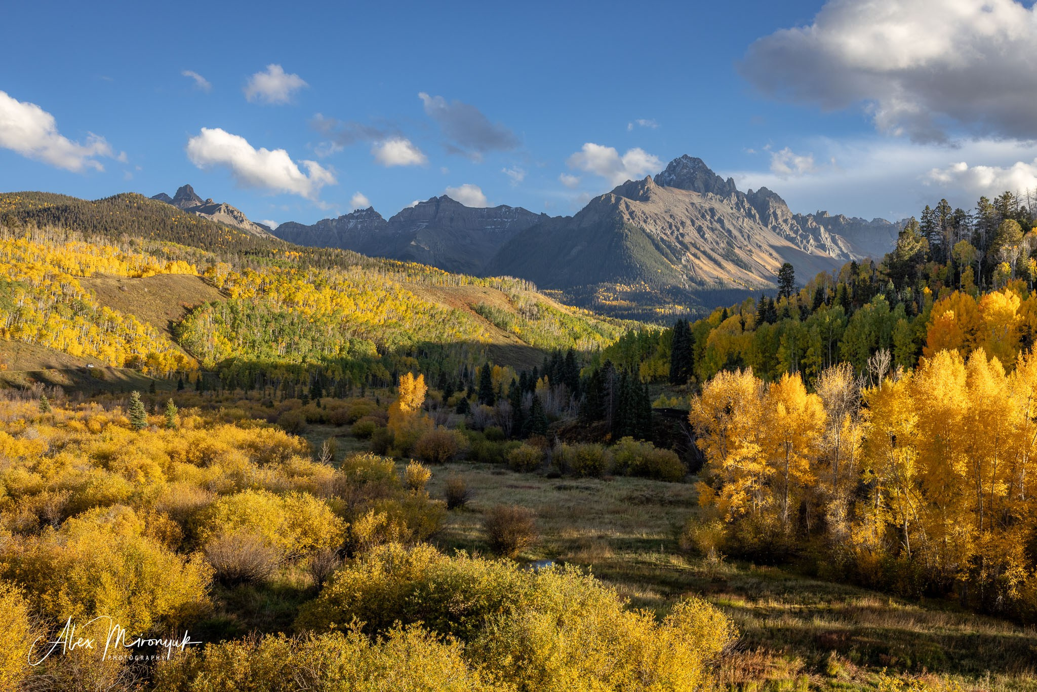 Fall Colors Of Colorado. Pet, Senior, Landscape, portrait studio, photographer in Miami and Sou