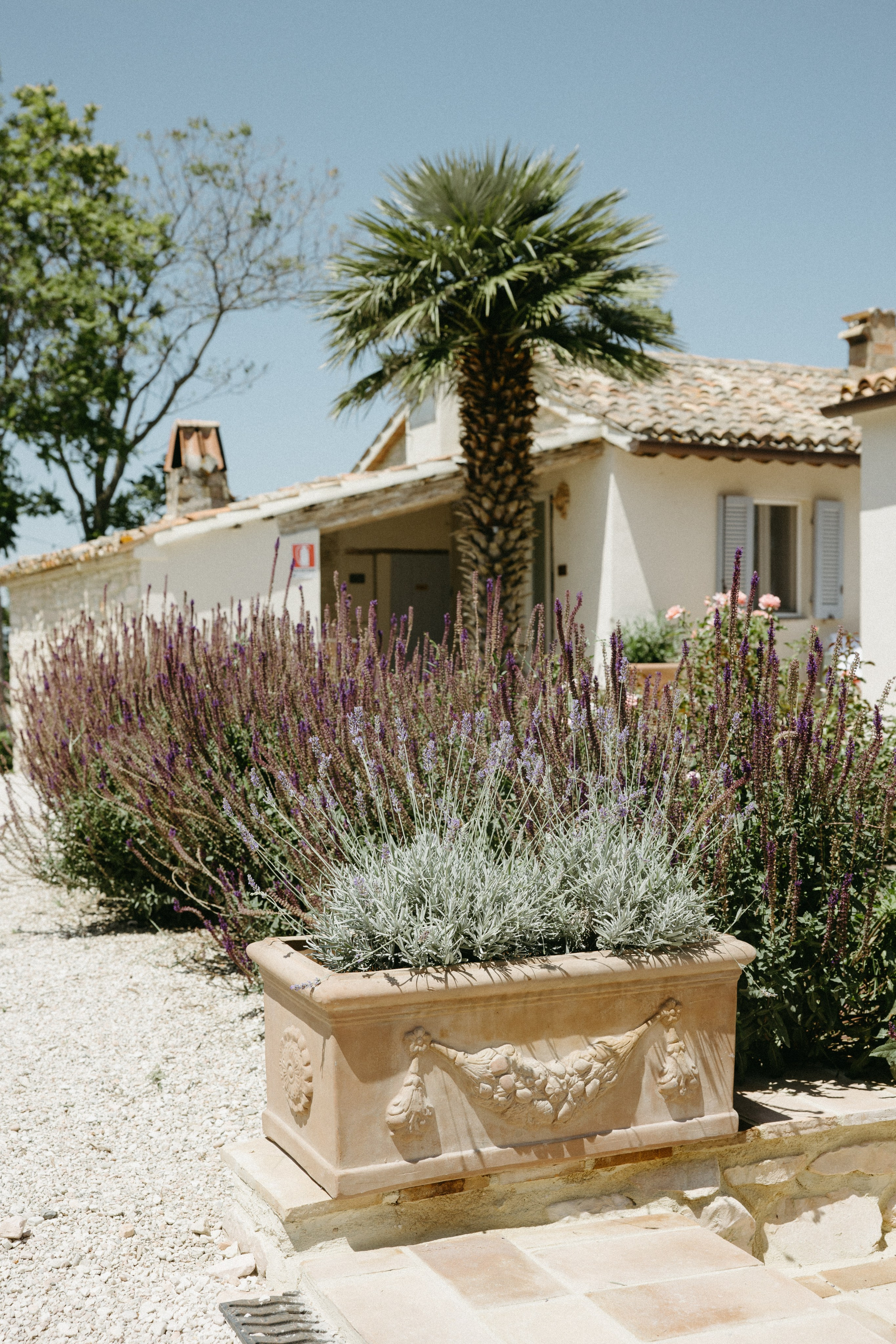 Sofia&Falk. Весільний фотограф Вікторія Саврук