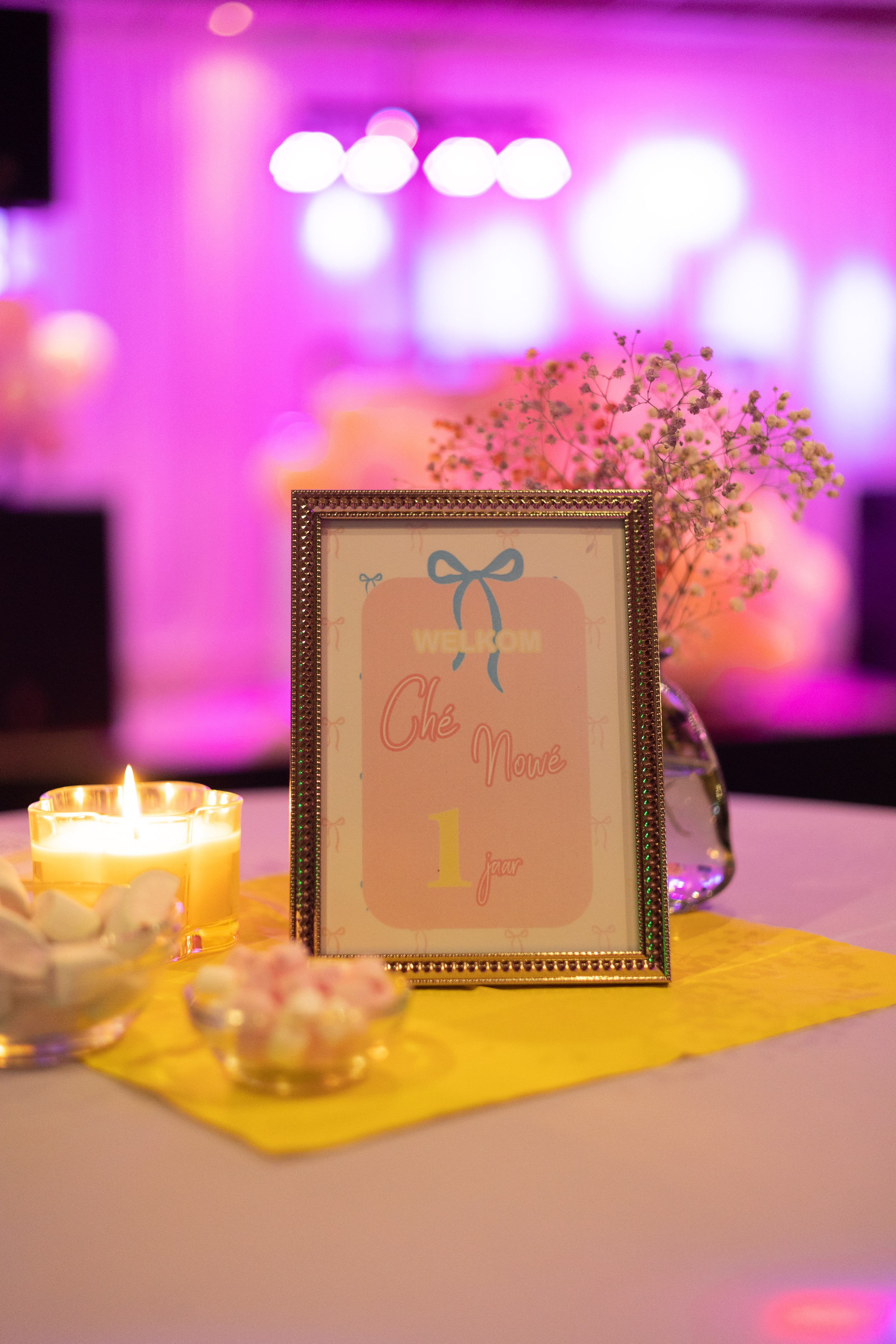 1 st Birthday. Portrait and Family Photographer in Netherlands