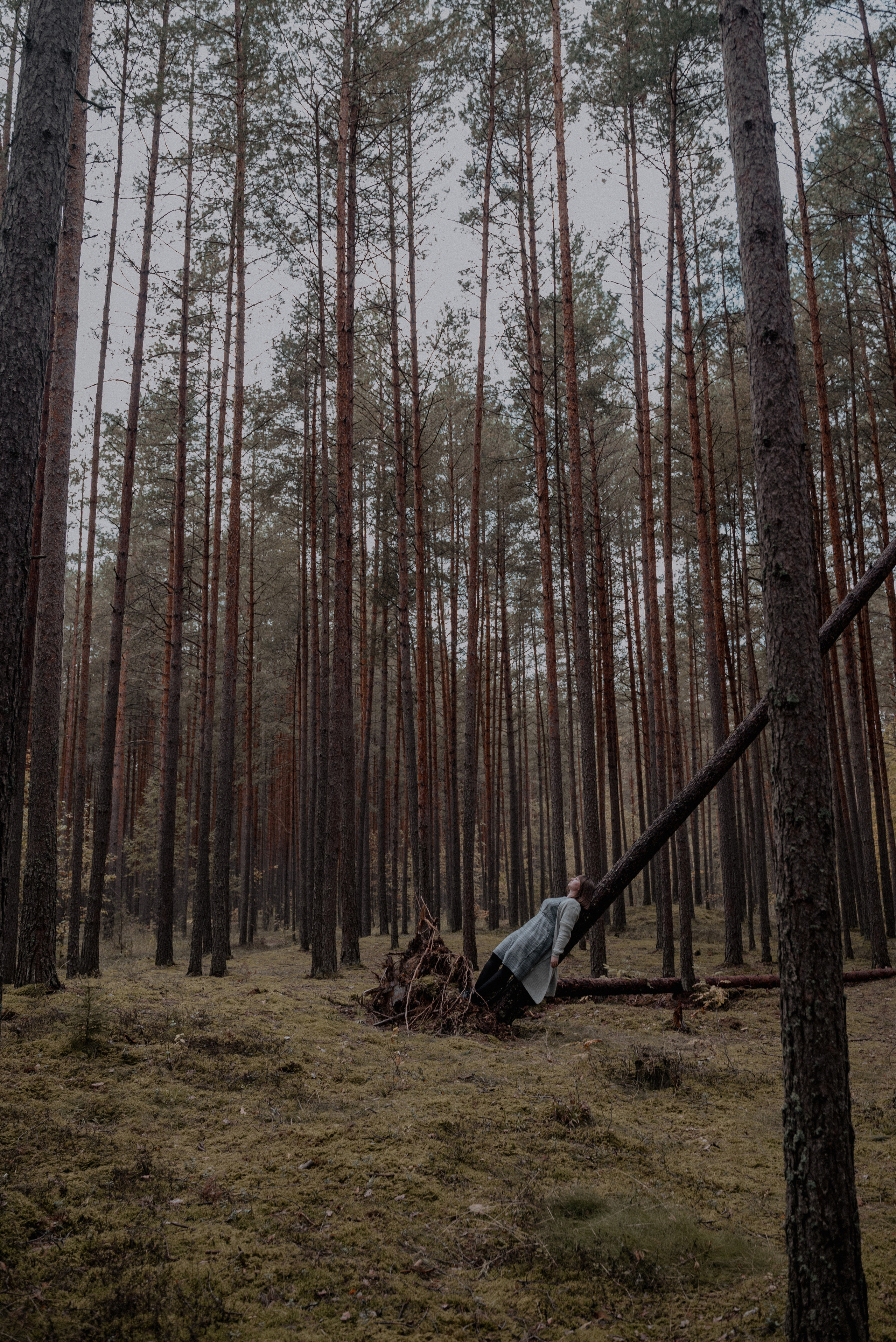 Спокойствие. Ваш фотограф в Латгалии — Александра Юхневича!