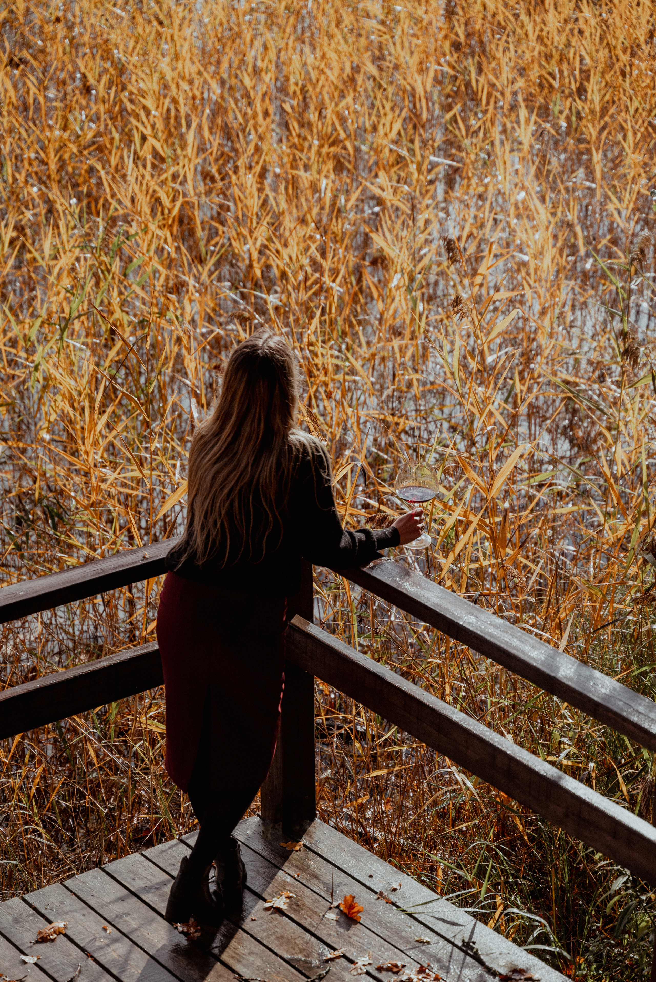Истина в вине?. Ваш фотограф в Латгалии — Александра Юхневича!