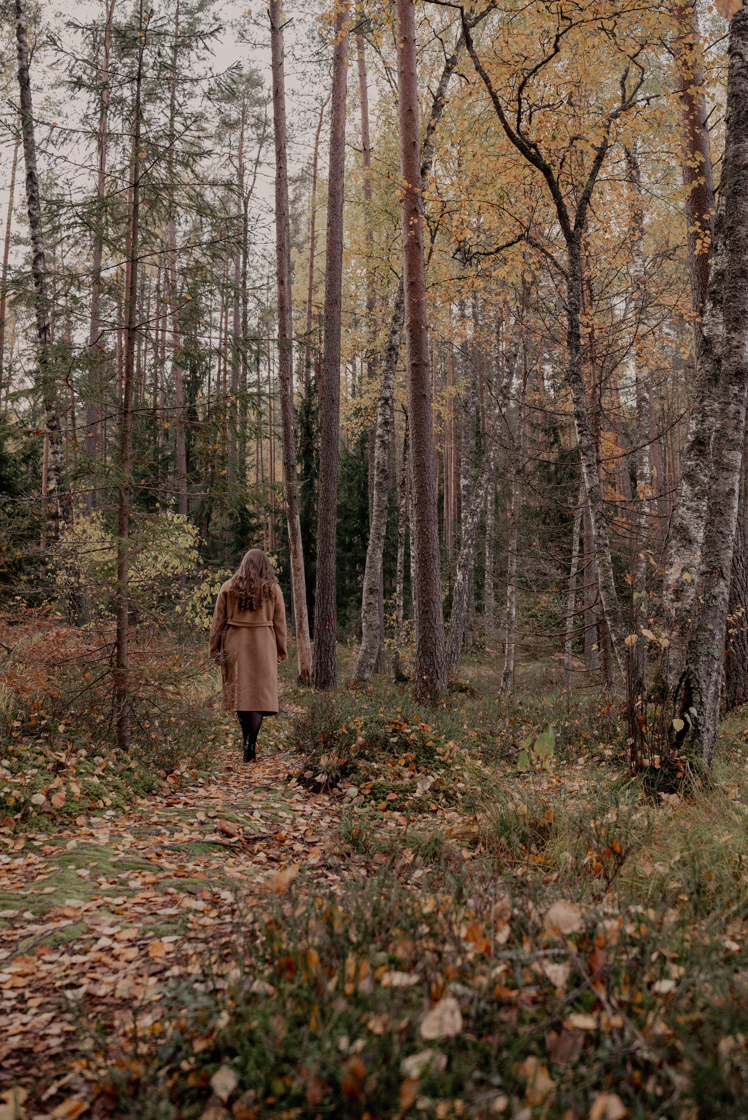 Čertoka ezers. Ваш фотограф в Латгалии — Александра Юхневича!